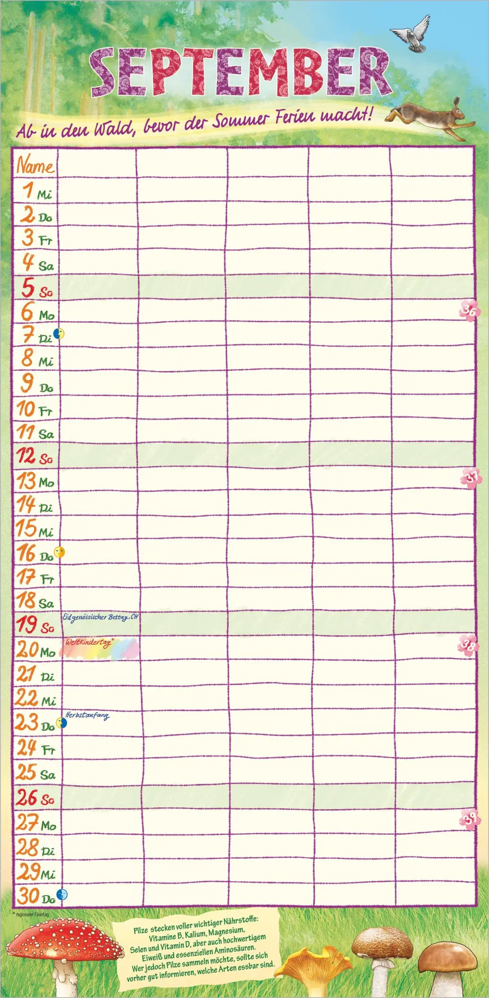 Bild: 4069095013100 | Unser Jahr - Unser Familienplaner für den Alltag 2027 | KG | Kalender