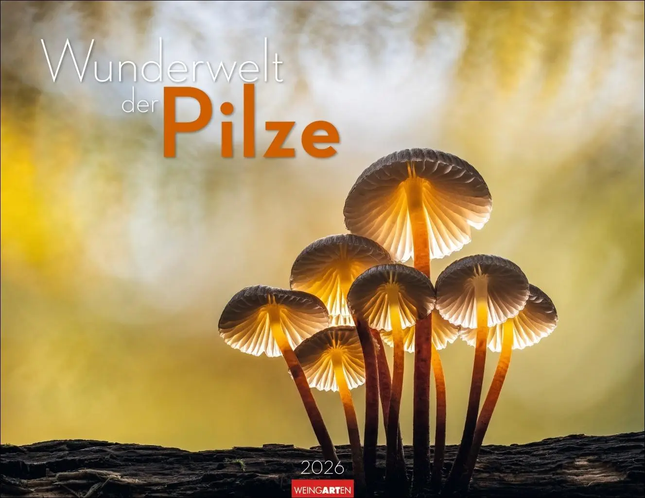 Cover: 9783839903100 | Wunderwelt der Pilze Kalender 2026 | Kalender | 14 S. | Deutsch | 2026