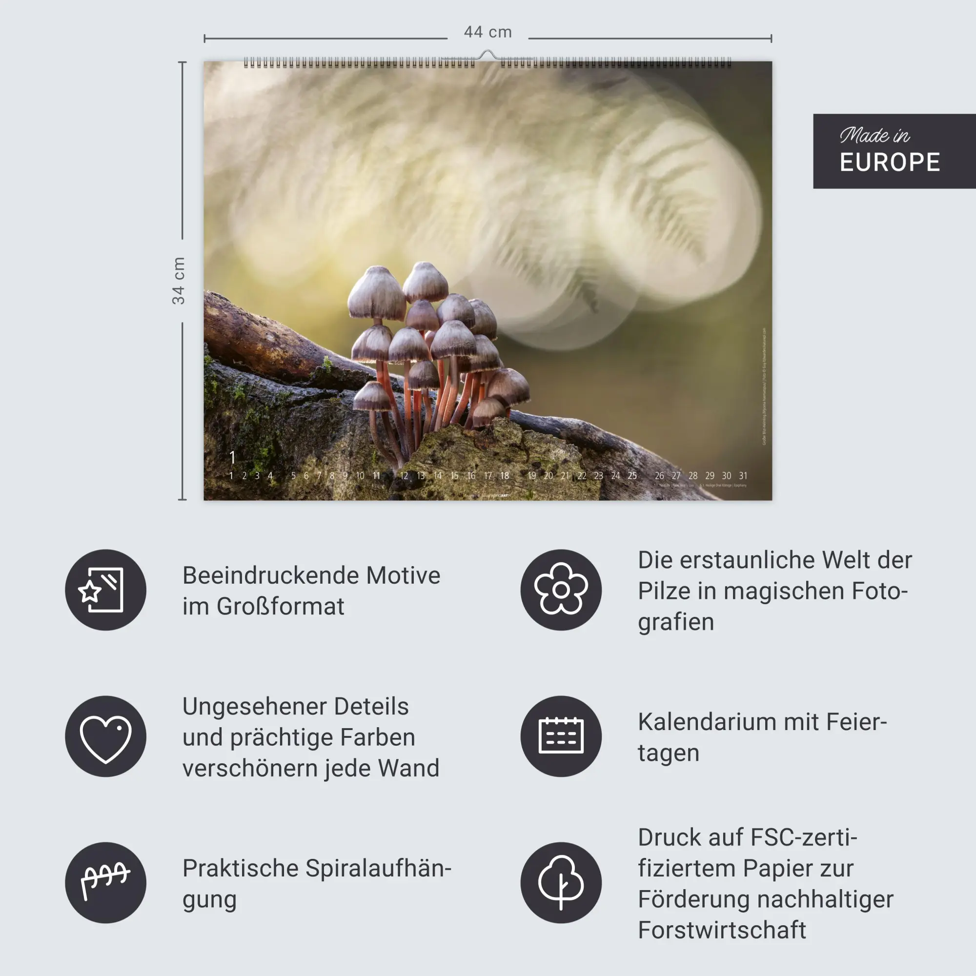 Bild: 9783839903100 | Wunderwelt der Pilze Kalender 2026 | Kalender | 14 S. | Deutsch | 2026