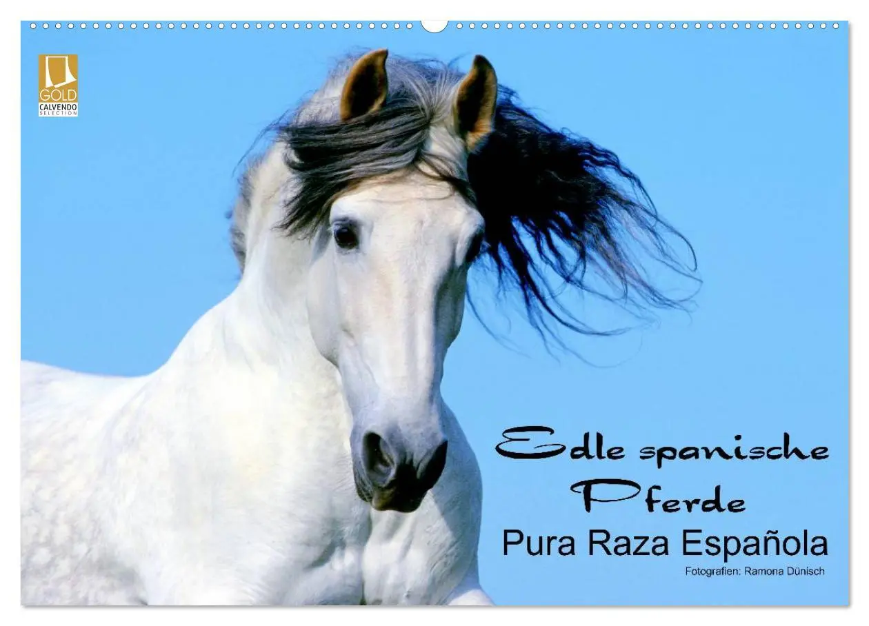 Cover: 9783516153200 | Edle spanische Pferde - Pura Raza Espanola (Wandkalender 2026 DIN...