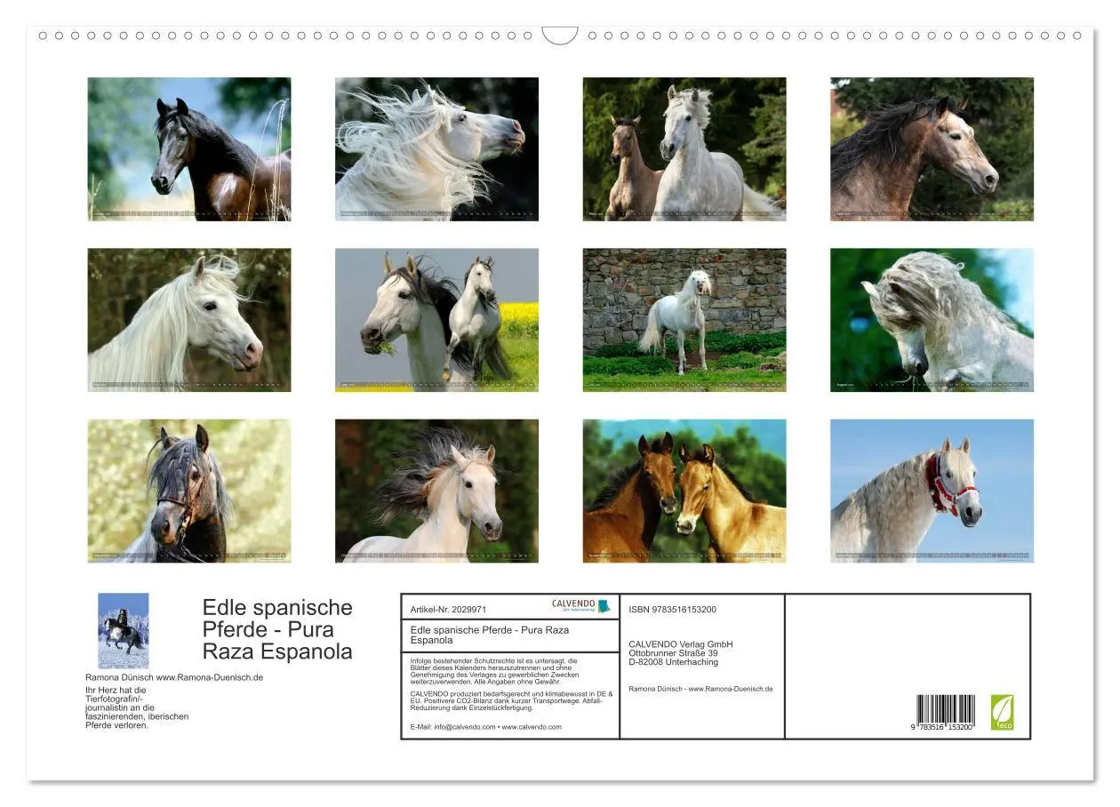 Bild: 9783516153200 | Edle spanische Pferde - Pura Raza Espanola (Wandkalender 2026 DIN...