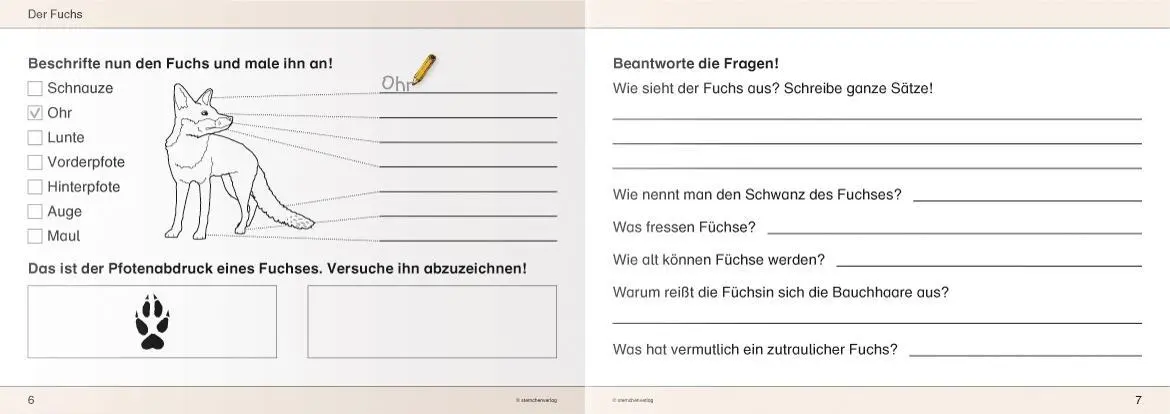 Bild: 9783939293200 | Ich kenne Waldtiere / Haus- und Hoftiere / Insekten und Spinnen. 3...