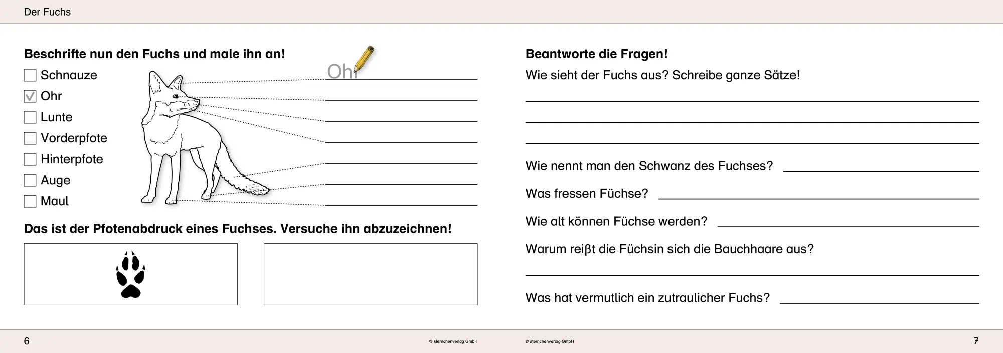Bild: 9783939293200 | Ich kenne Waldtiere / Haus- und Hoftiere / Insekten und Spinnen. 3...