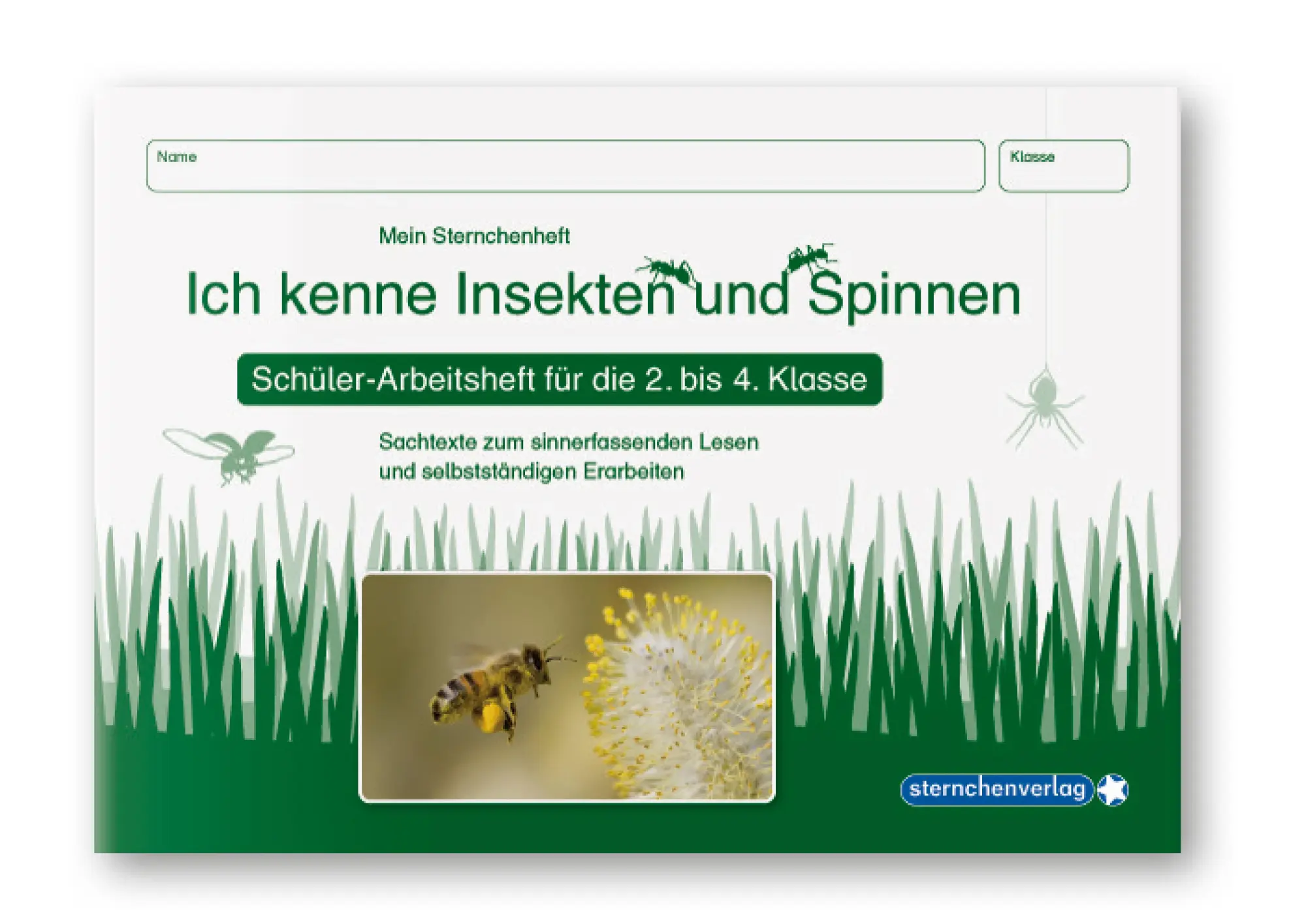 Bild: 9783939293200 | Ich kenne Waldtiere / Haus- und Hoftiere / Insekten und Spinnen. 3...