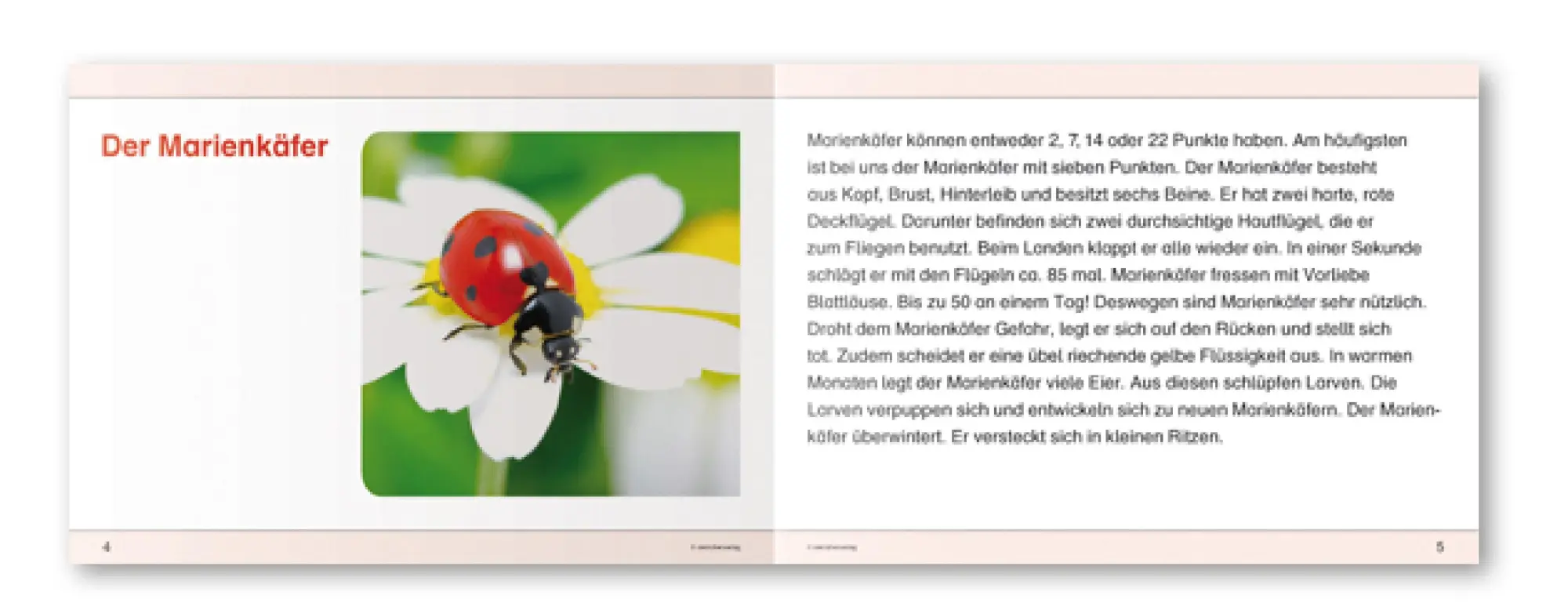 Bild: 9783939293200 | Ich kenne Waldtiere / Haus- und Hoftiere / Insekten und Spinnen. 3...