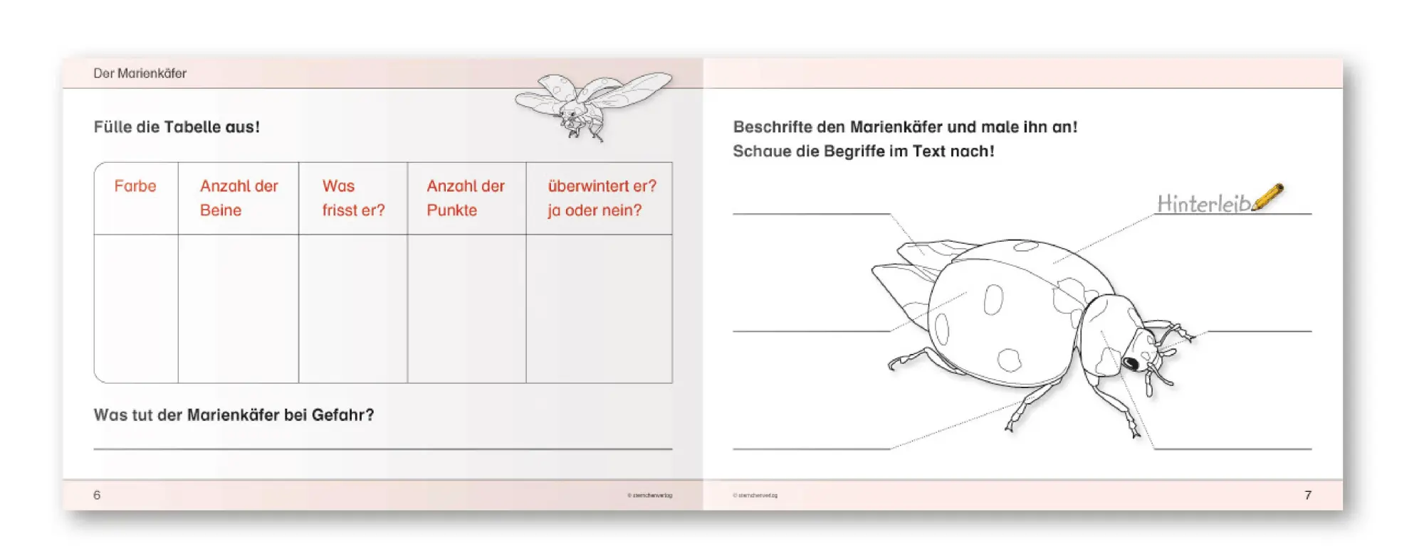 Bild: 9783939293200 | Ich kenne Waldtiere / Haus- und Hoftiere / Insekten und Spinnen. 3...