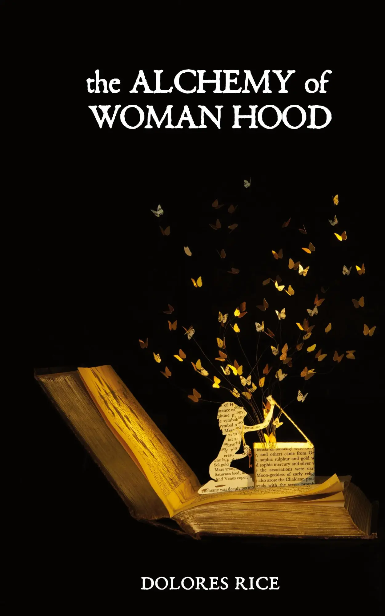 Cover: 9780997523300 | The Alchemy of Womanhood | Dolores Rice | Buch | Englisch | 2016