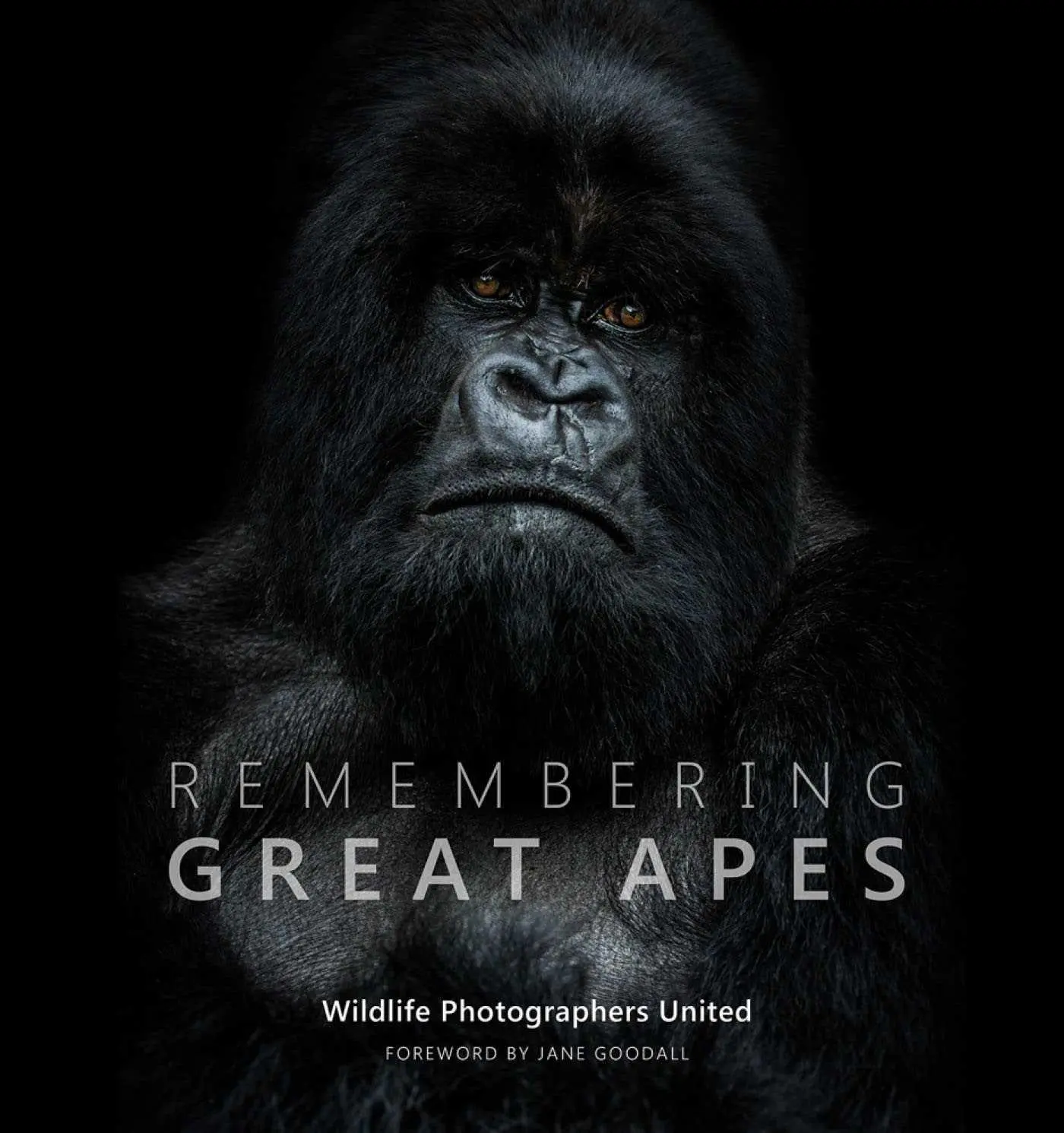 Cover: 9781999643300 | Remembering Great Apes | Margot Raggett | Buch | Remembering Wildlife