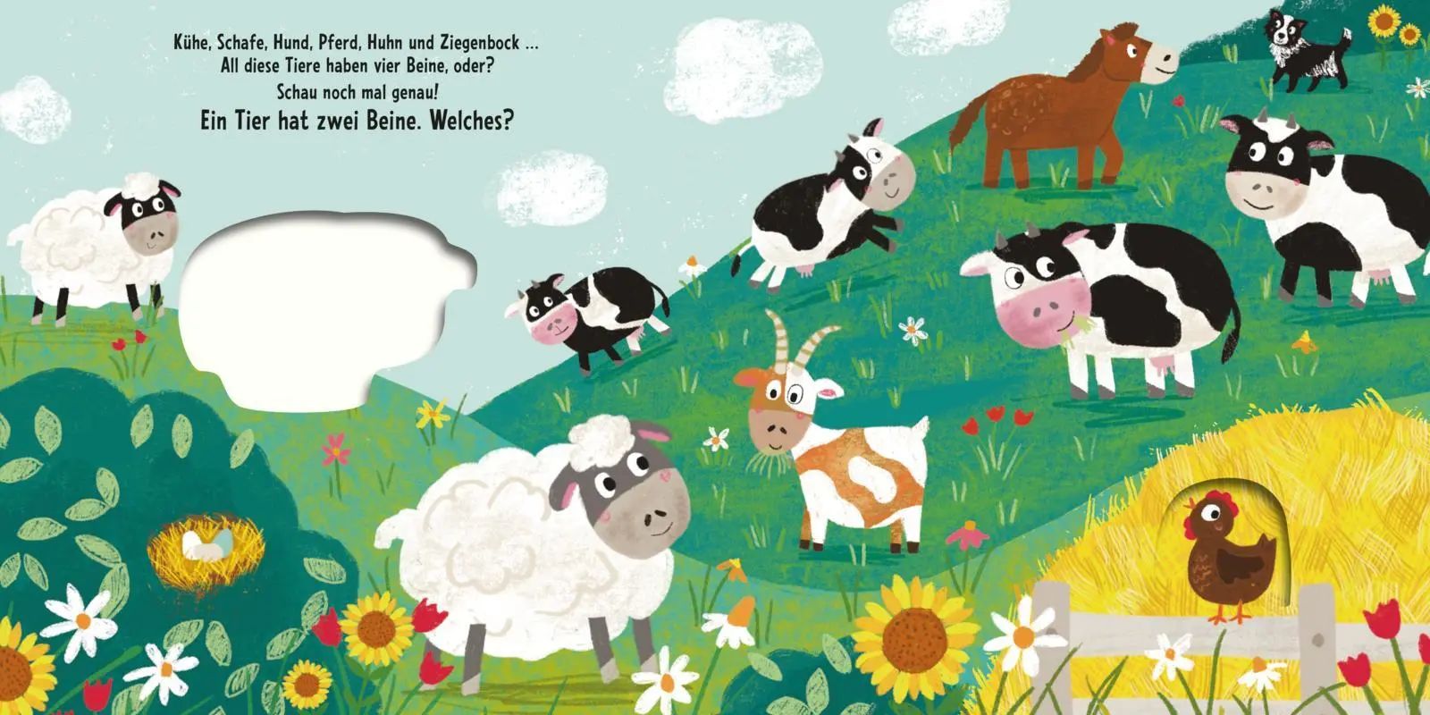 Bild: 9783551173300 | Schau, was passt genau? Auf dem Bauernhof | Julia Hofmann | Buch