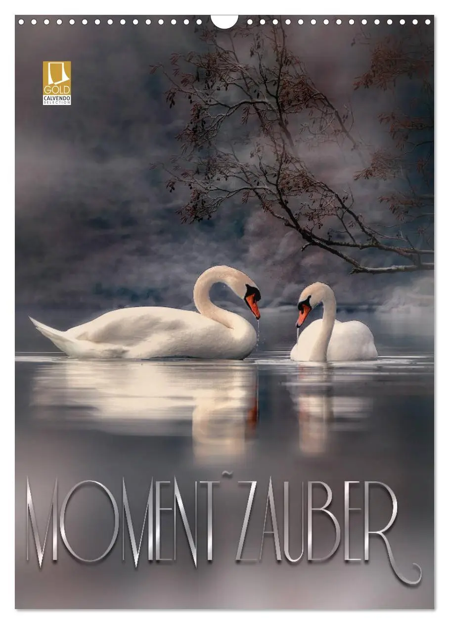 Cover: 9783516373400 | Moment Zauber (Wandkalender 2026 DIN A3 hoch), CALVENDO Monatskalender