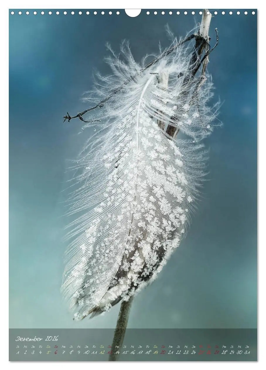 Bild: 9783516373400 | Moment Zauber (Wandkalender 2026 DIN A3 hoch), CALVENDO Monatskalender