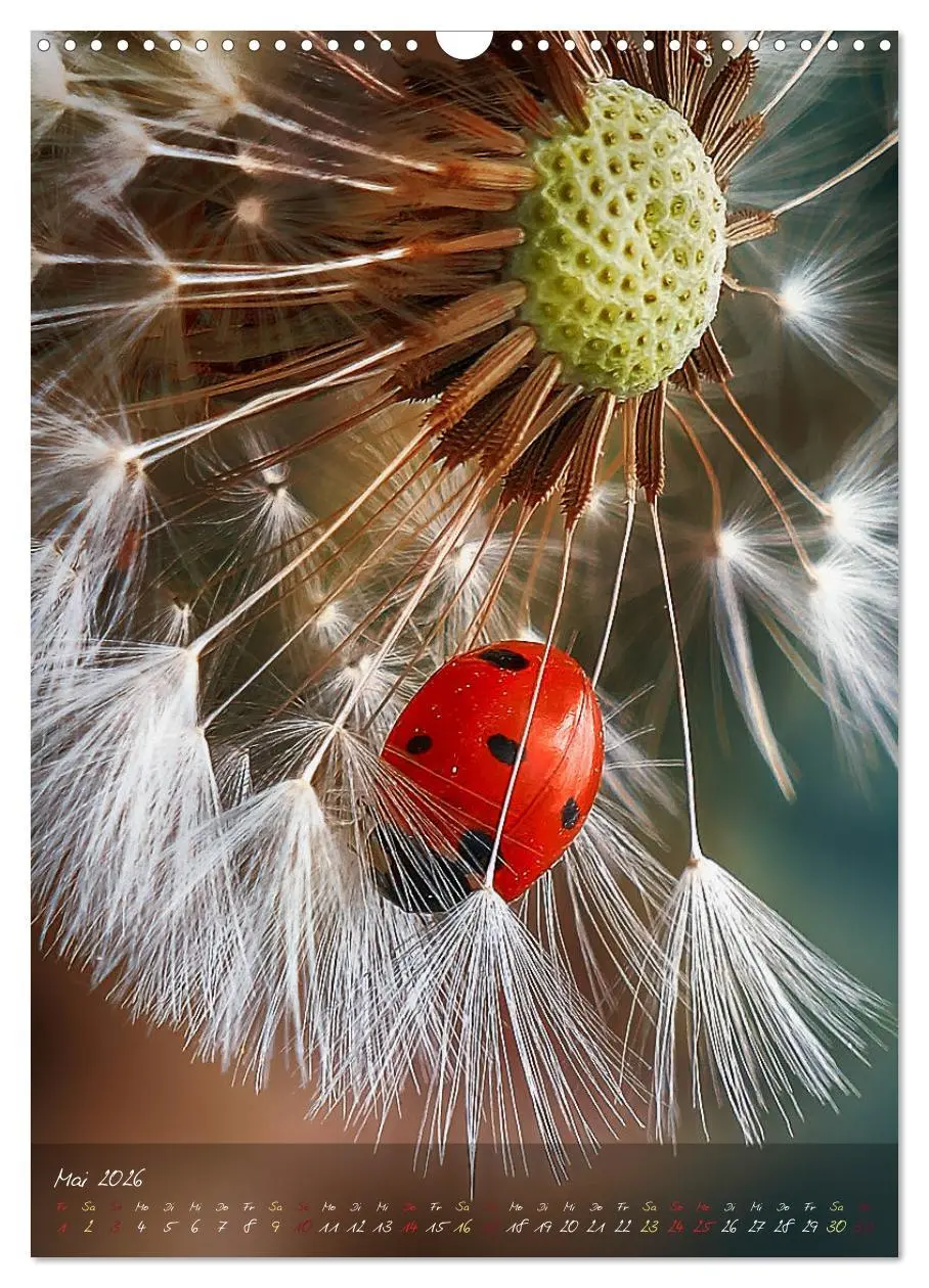 Bild: 9783516373400 | Moment Zauber (Wandkalender 2026 DIN A3 hoch), CALVENDO Monatskalender