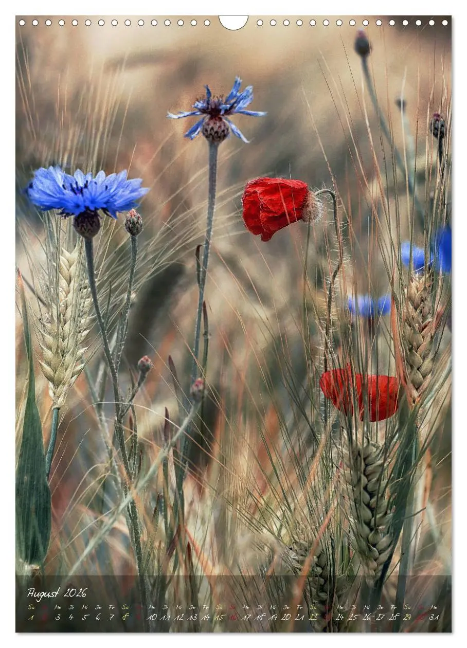 Bild: 9783516373400 | Moment Zauber (Wandkalender 2026 DIN A3 hoch), CALVENDO Monatskalender