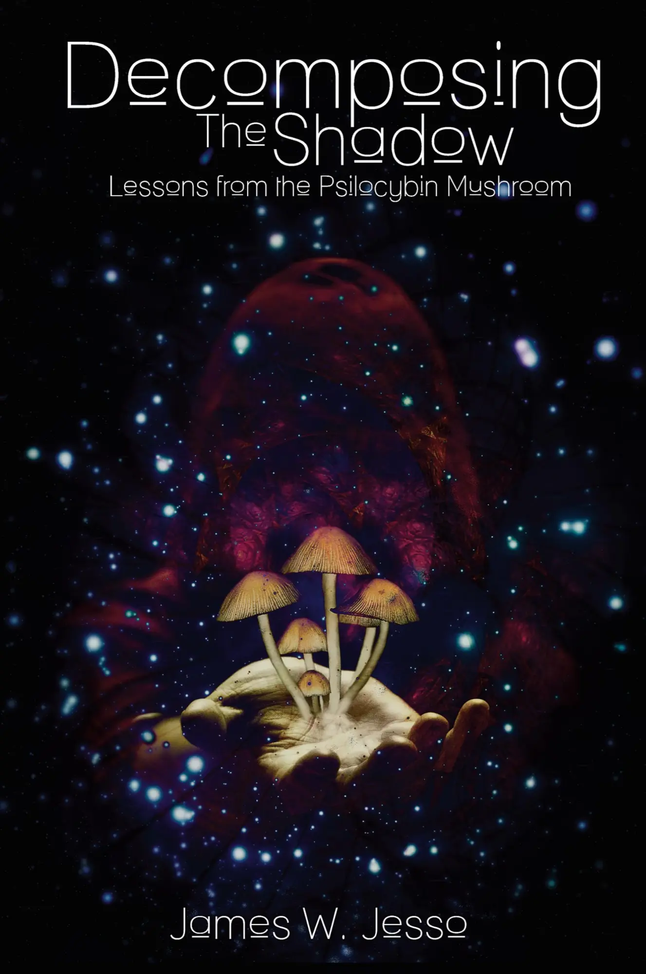 Cover: 9780991943500 | Decomposing The Shadow | Lessons From The Psilocybin Mushroom | Jesso