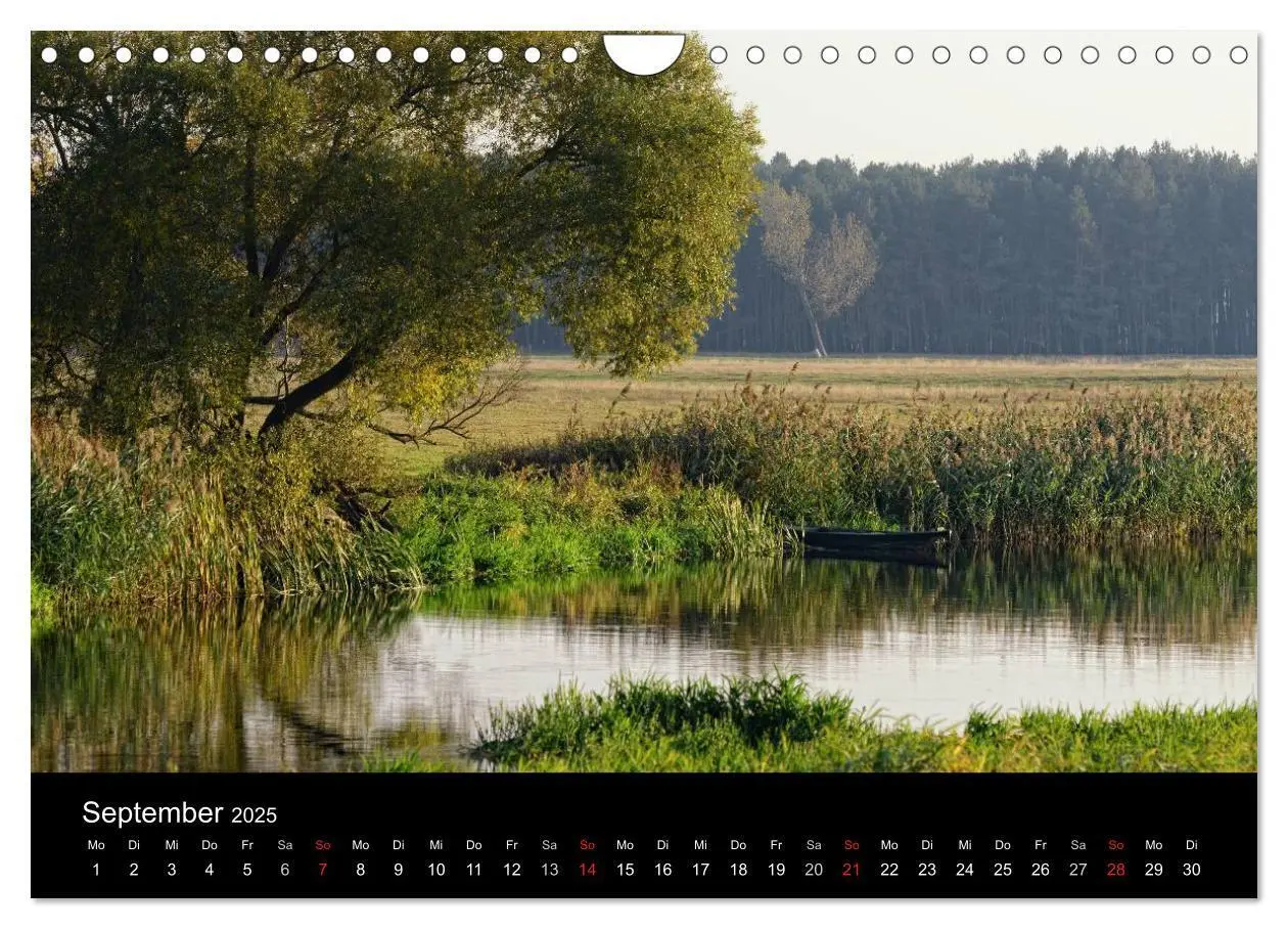 Bild: 9783435563500 | Vier Jahreszeiten im Havelland (Wandkalender 2025 DIN A4 quer),...