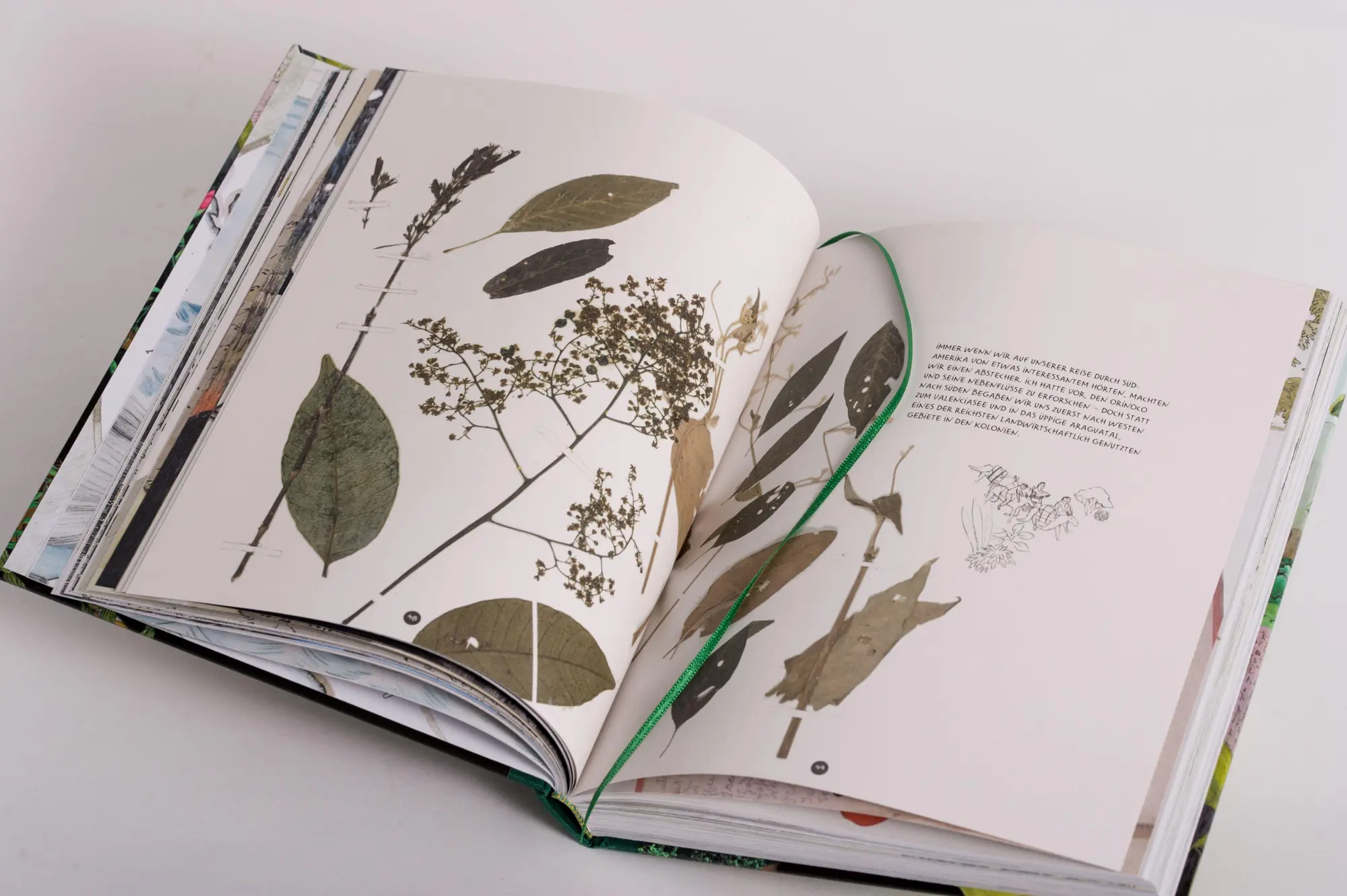 Bild: 9783570103500 | Die Abenteuer des Alexander von Humboldt | Andrea Wulf | Buch | 272 S.