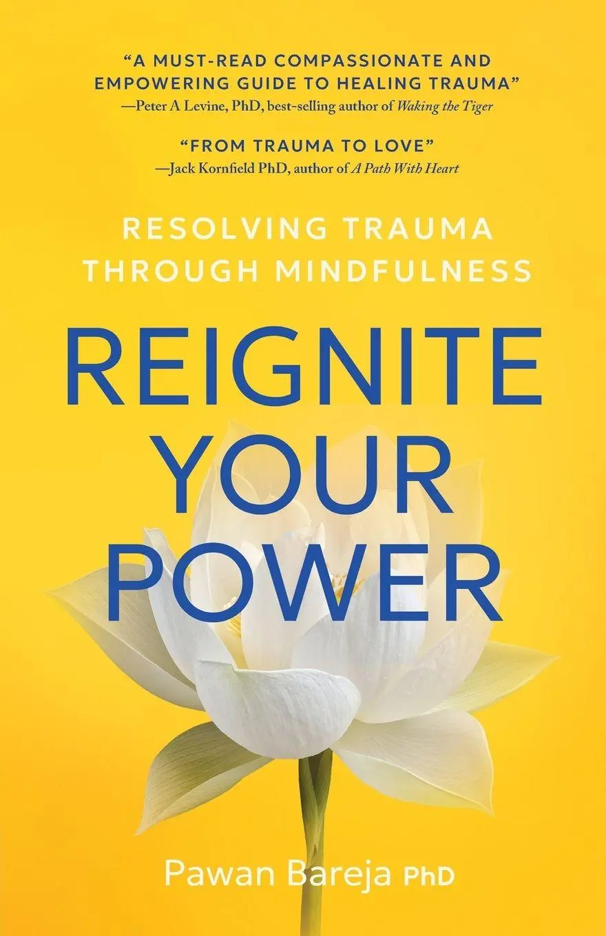 Cover: 9798993043500 | Reignite Your Power | Pawan Bareja | Taschenbuch | Englisch | 2025