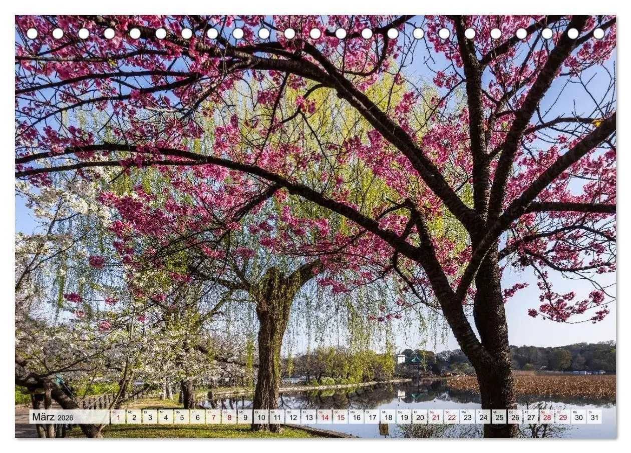 Bild: 9783516663600 | Tokio - Das Herz Japans (Tischkalender 2026 DIN A5 quer), CALVENDO...