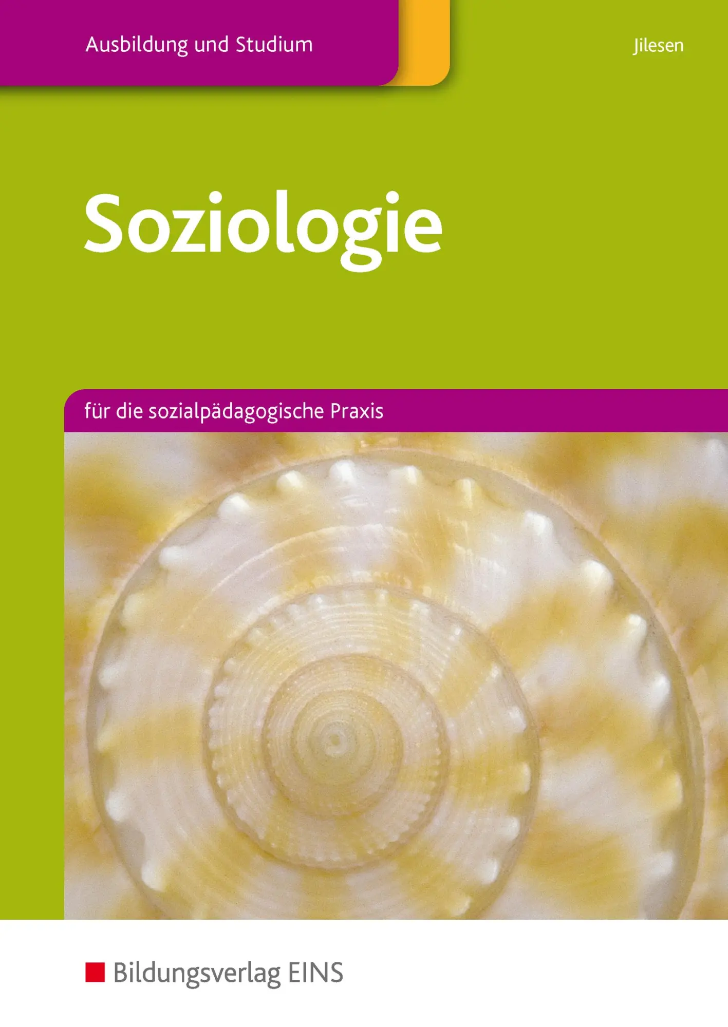 Cover: 9783823703600 | Soziologie für die sozialpädagogische Praxis | Martien Jilesen | Buch