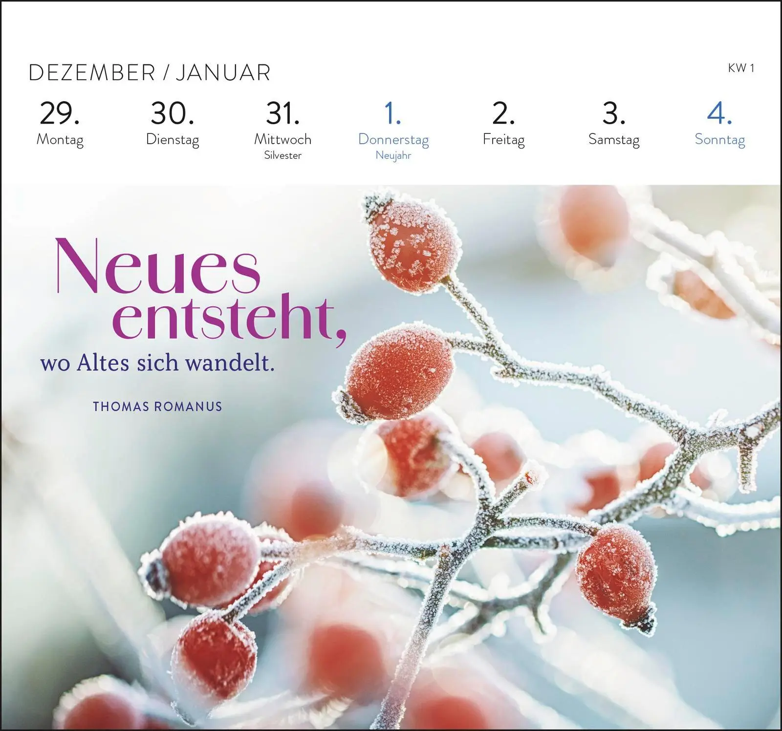 Bild: 4036442013700 | Postkartenkalender 2026: Die schönsten Weisheiten für jeden Tag | 2026