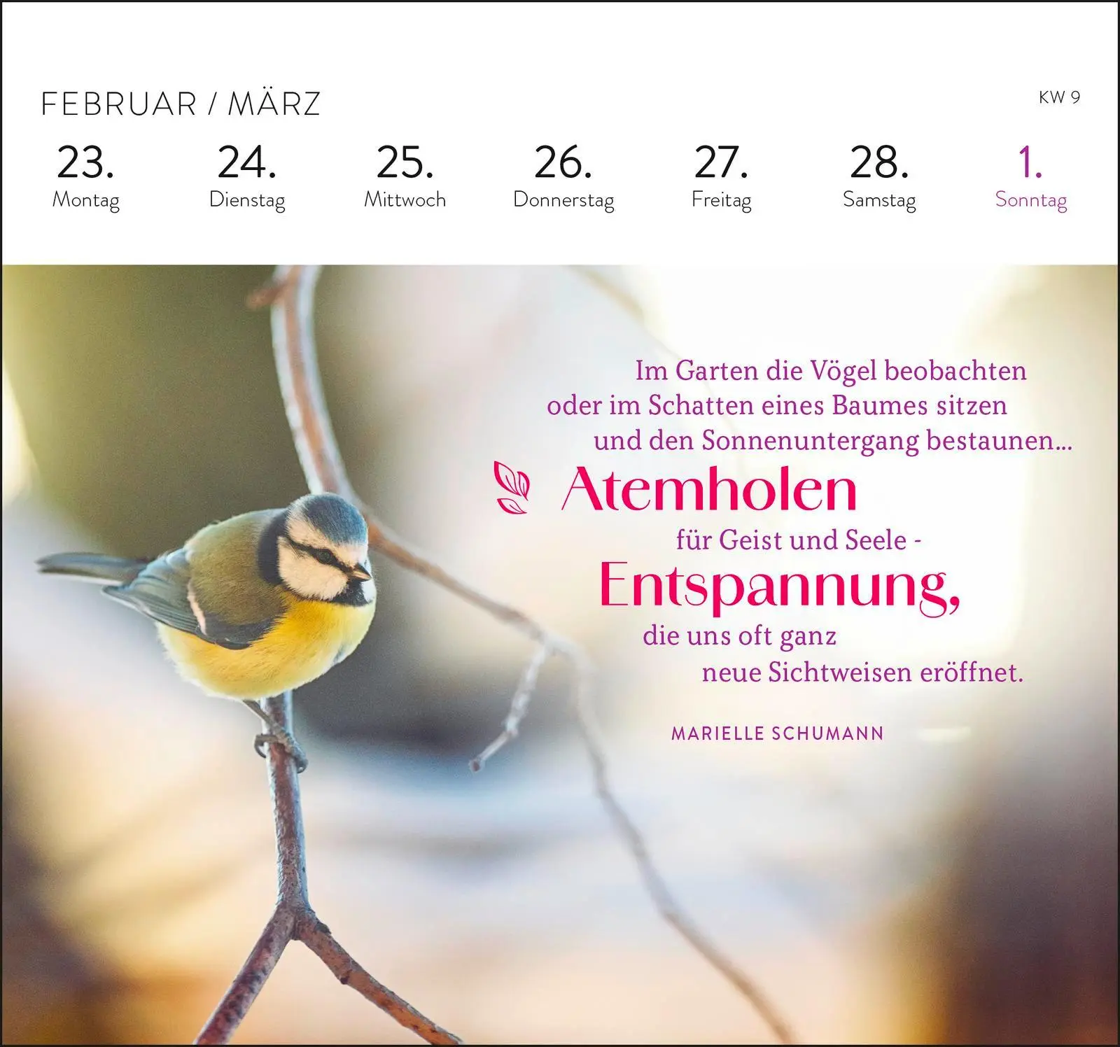 Bild: 4036442013700 | Postkartenkalender 2026: Die schönsten Weisheiten für jeden Tag | 2026