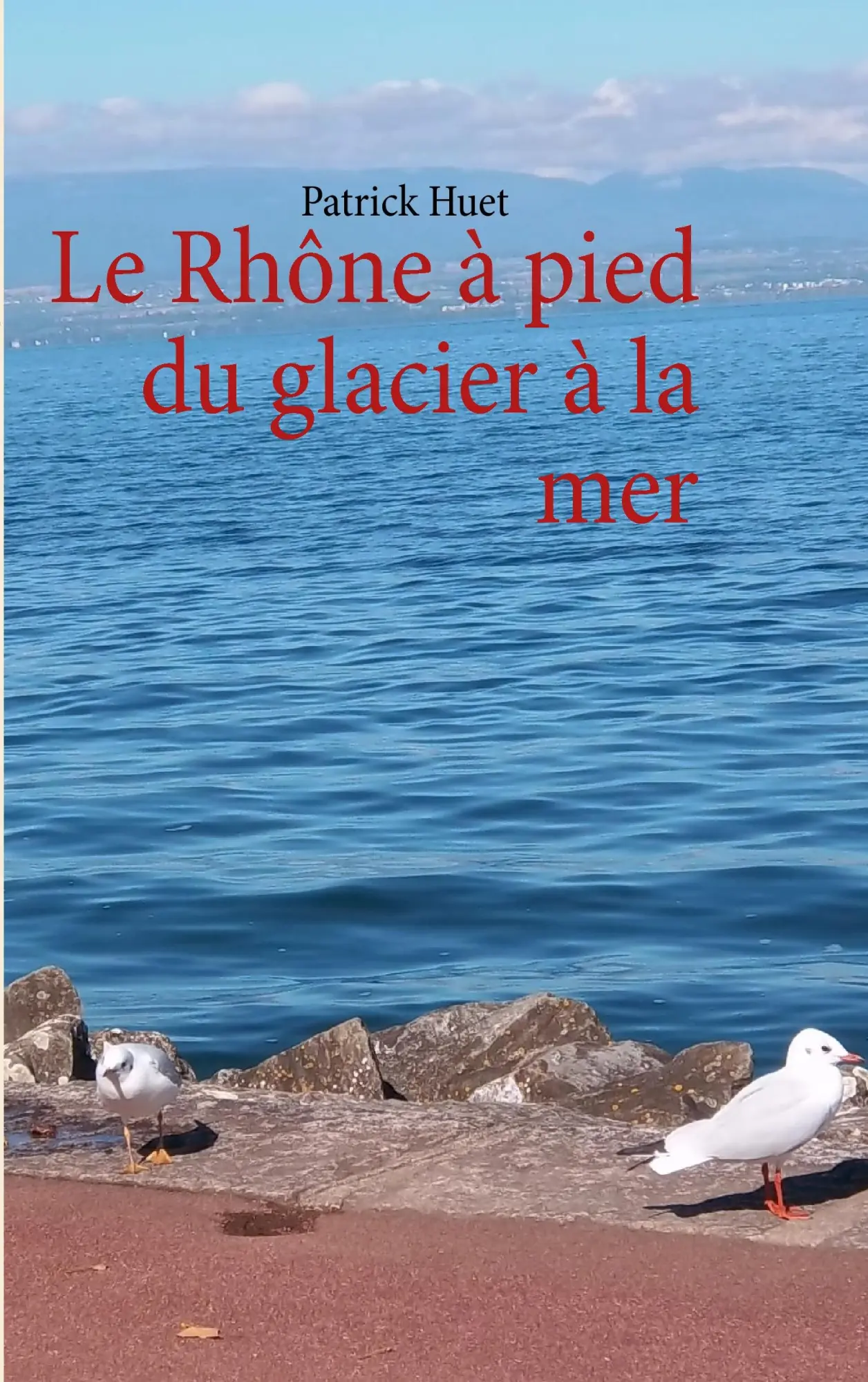Cover: 9782810613700 | Le Rhône à pied du glacier à la mer | Patrick Huet | Taschenbuch