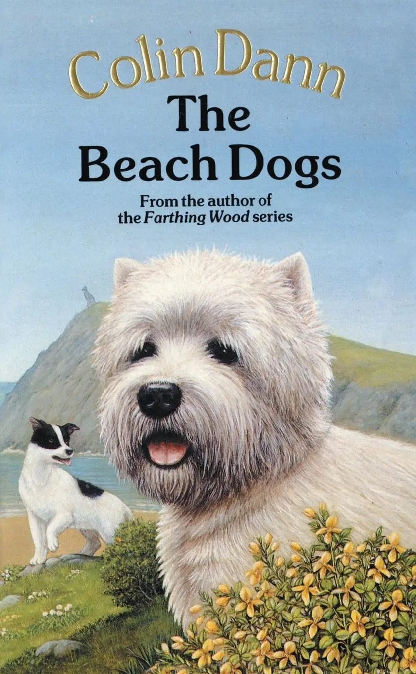 Cover: 9780099613800 | The Beach Dogs | Colin Dann | Taschenbuch | Englisch | 1989 | Red Fox