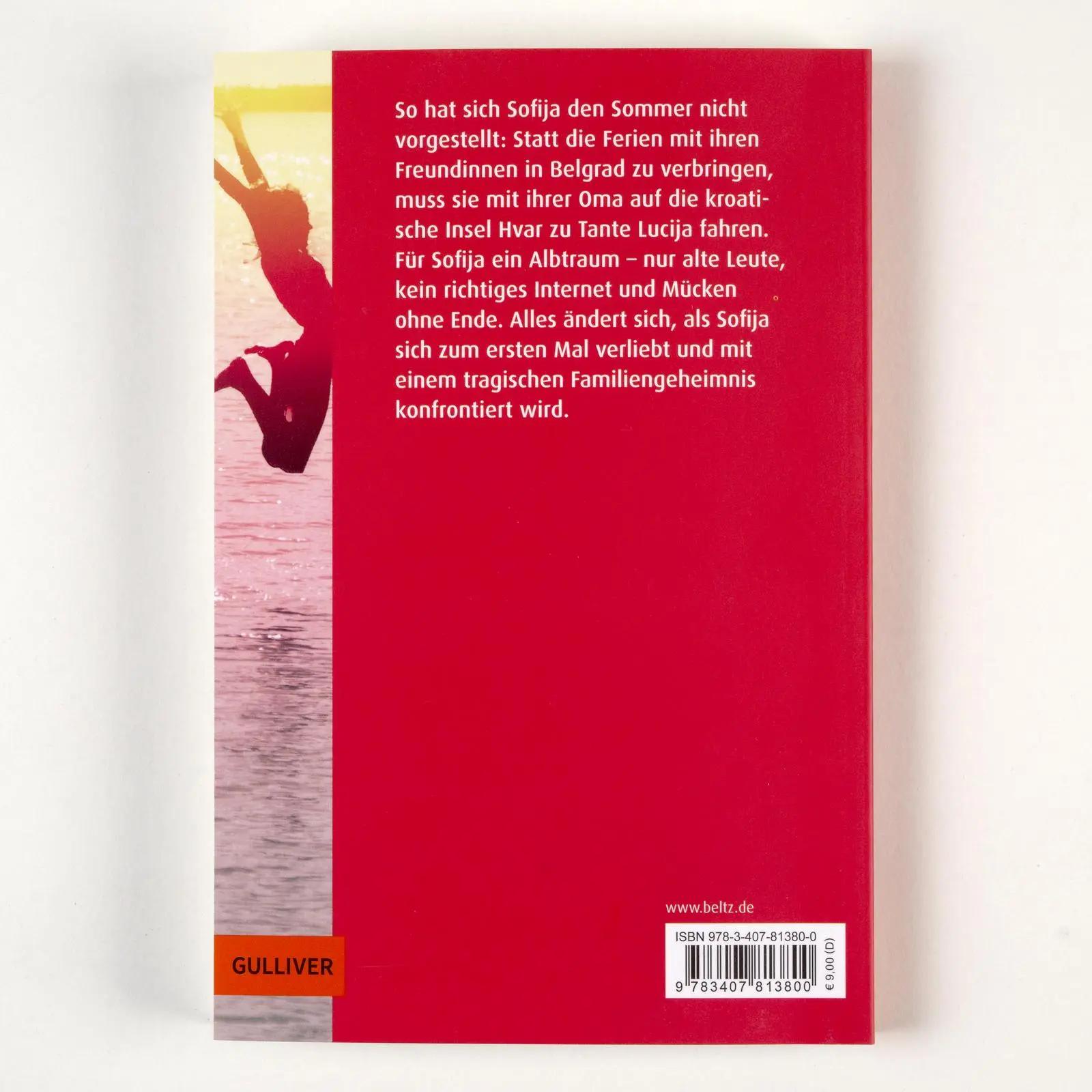 Rückseite: 9783407813800 | Der Sommer, als ich fliegen lernte | Jasminka Petrovi¿ | Taschenbuch