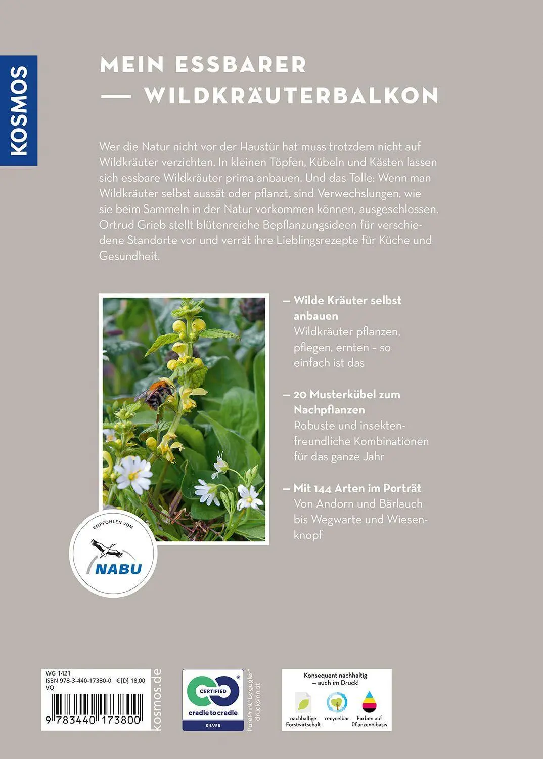 Bild: 9783440173800 | Wildkräuter in Töpfen &amp; Kübeln | Ortrud Grieb | Taschenbuch | 128 S.