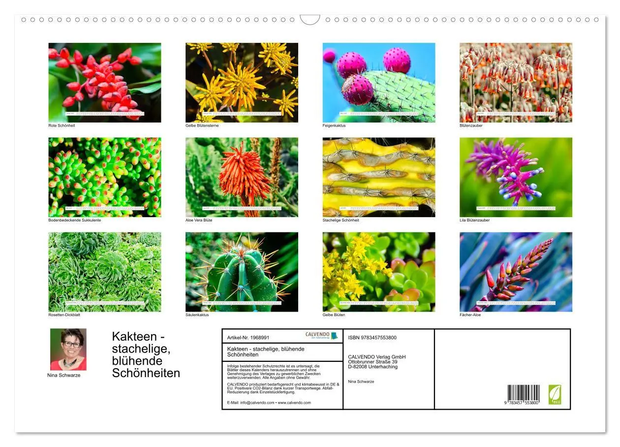 Bild: 9783457553800 | Kakteen - stachelige, blühende Schönheiten (Wandkalender 2026 DIN...