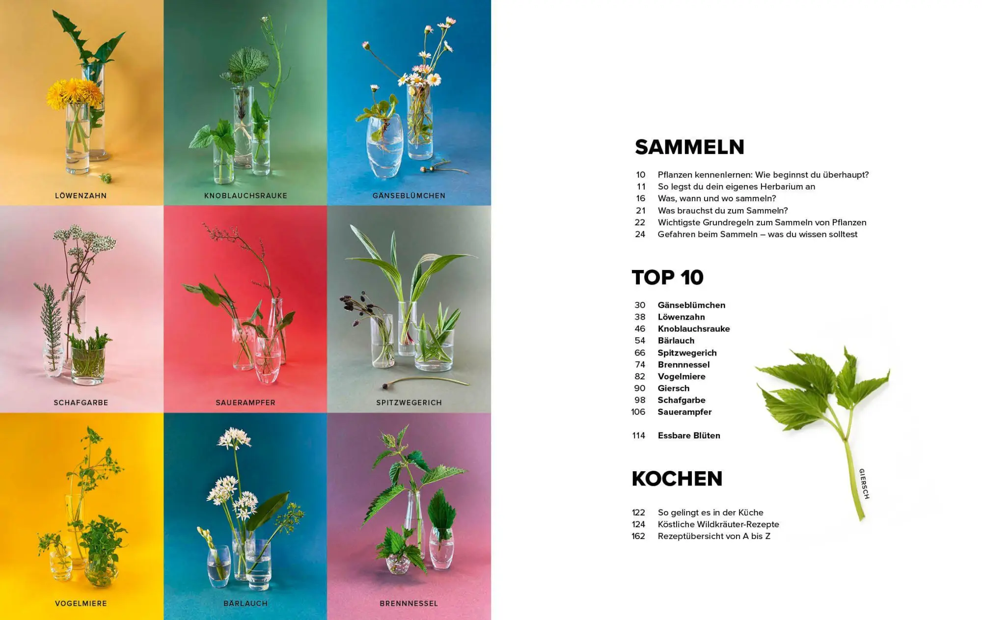 Bild: 9783954533800 | Wildkräuter Top 10 | Martina Merz | Buch | 168 S. | Deutsch | 2026