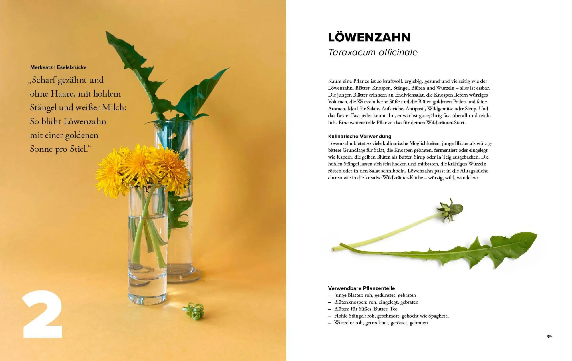 Bild: 9783954533800 | Wildkräuter Top 10 | Martina Merz | Buch | 168 S. | Deutsch | 2026
