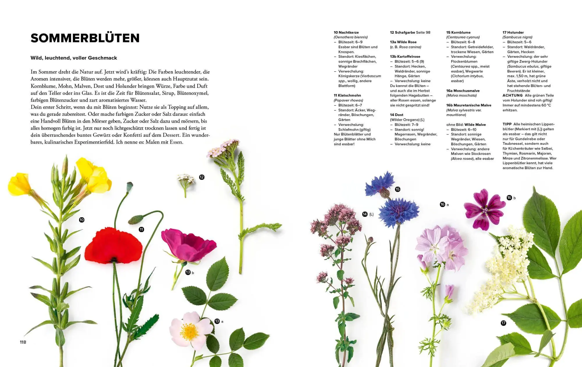 Bild: 9783954533800 | Wildkräuter Top 10 | Martina Merz | Buch | 168 S. | Deutsch | 2026