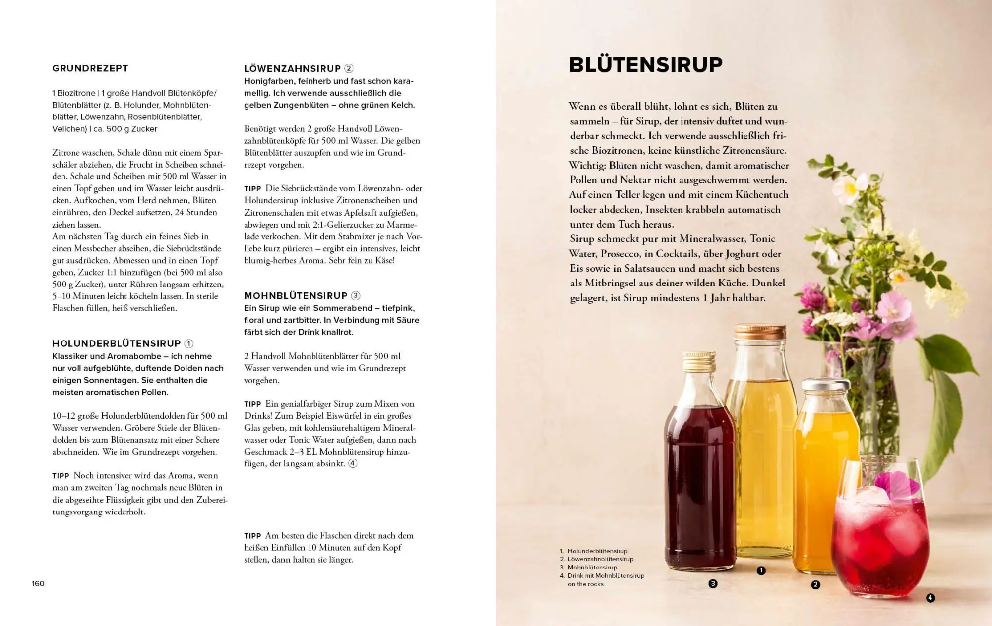 Bild: 9783954533800 | Wildkräuter Top 10 | Martina Merz | Buch | 168 S. | Deutsch | 2026
