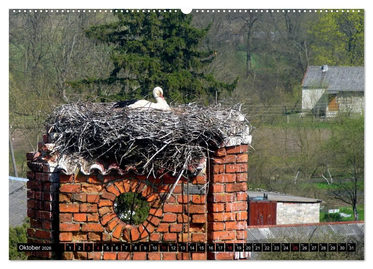 Bild: 9783457783900 | Im Paradies der Störche - Dorfkirchen als Storchkirchen in...
