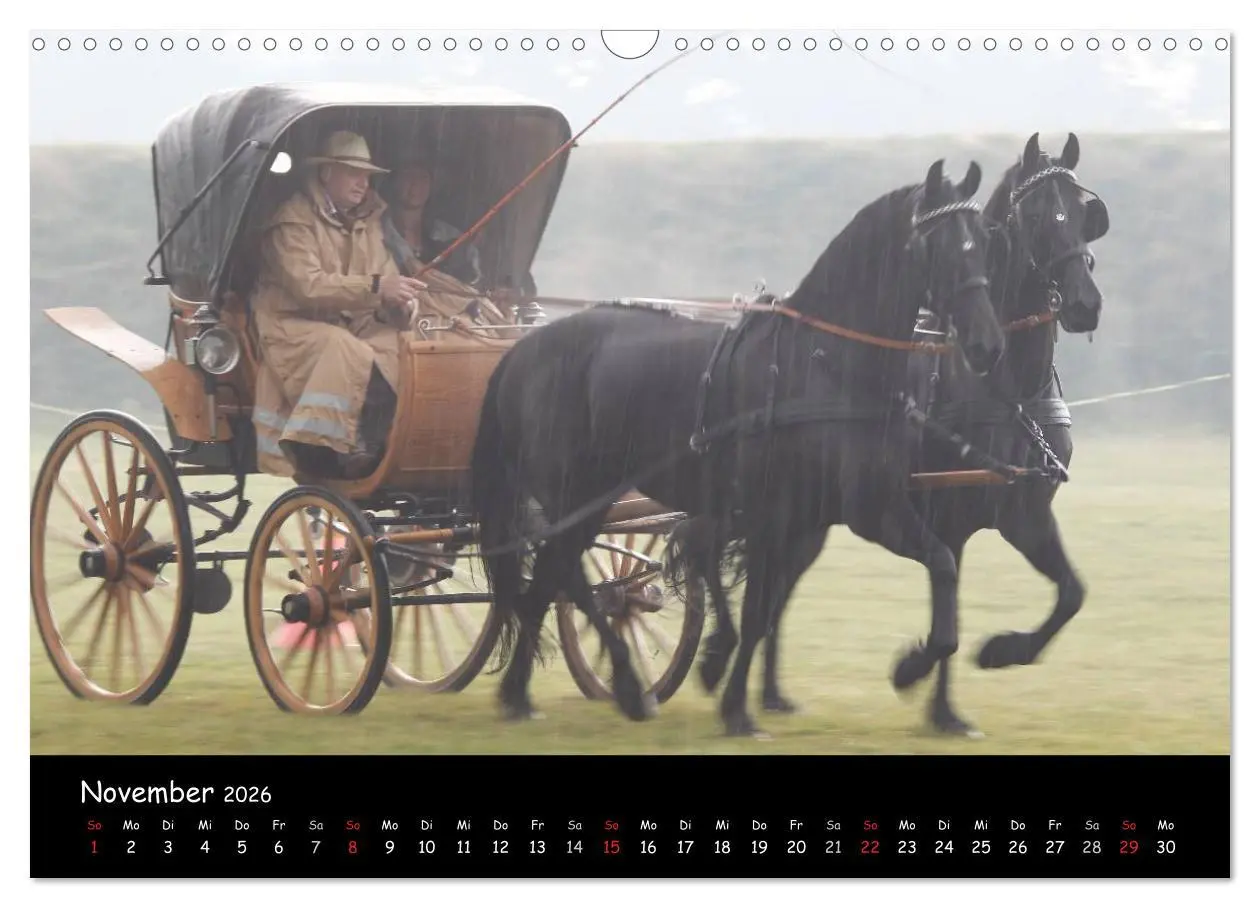 Bild: 9783516013900 | CIAT - Historischer Fahrsport in Celle (Wandkalender 2026 DIN A3...