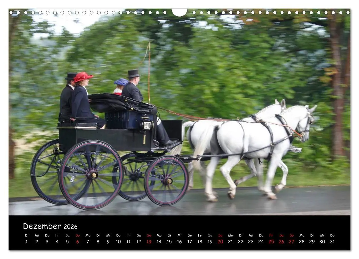 Bild: 9783516013900 | CIAT - Historischer Fahrsport in Celle (Wandkalender 2026 DIN A3...