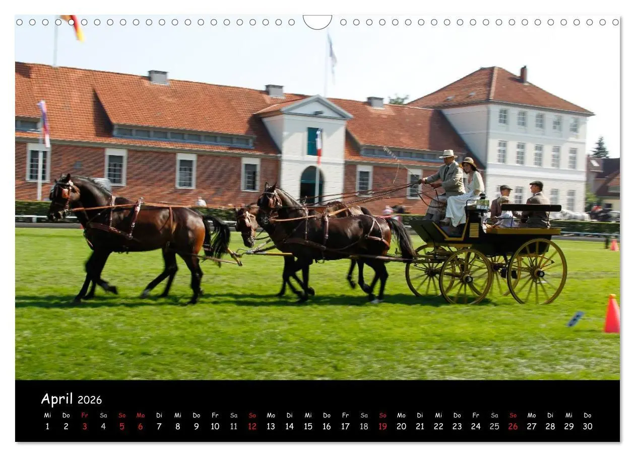 Bild: 9783516013900 | CIAT - Historischer Fahrsport in Celle (Wandkalender 2026 DIN A3...
