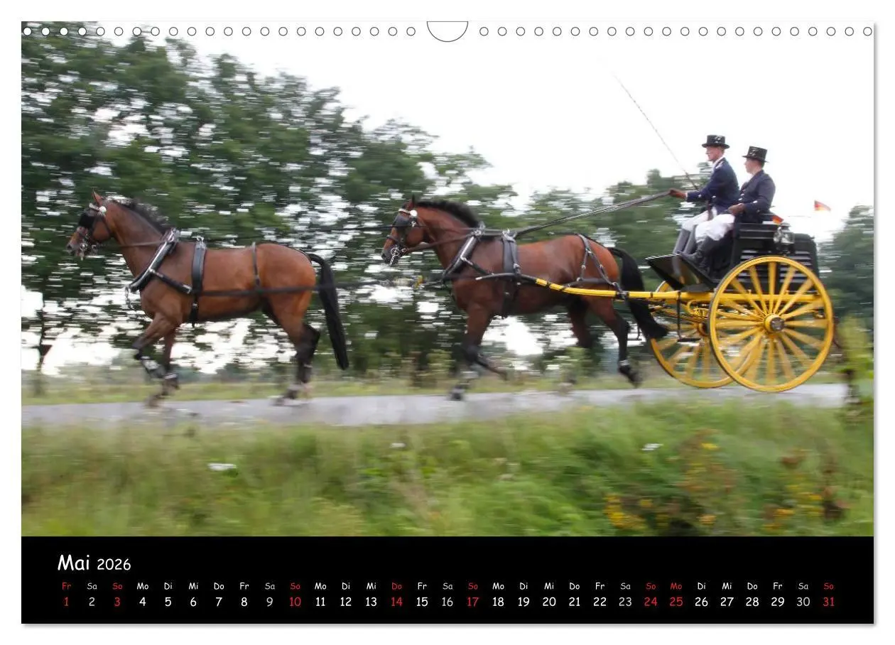 Bild: 9783516013900 | CIAT - Historischer Fahrsport in Celle (Wandkalender 2026 DIN A3...
