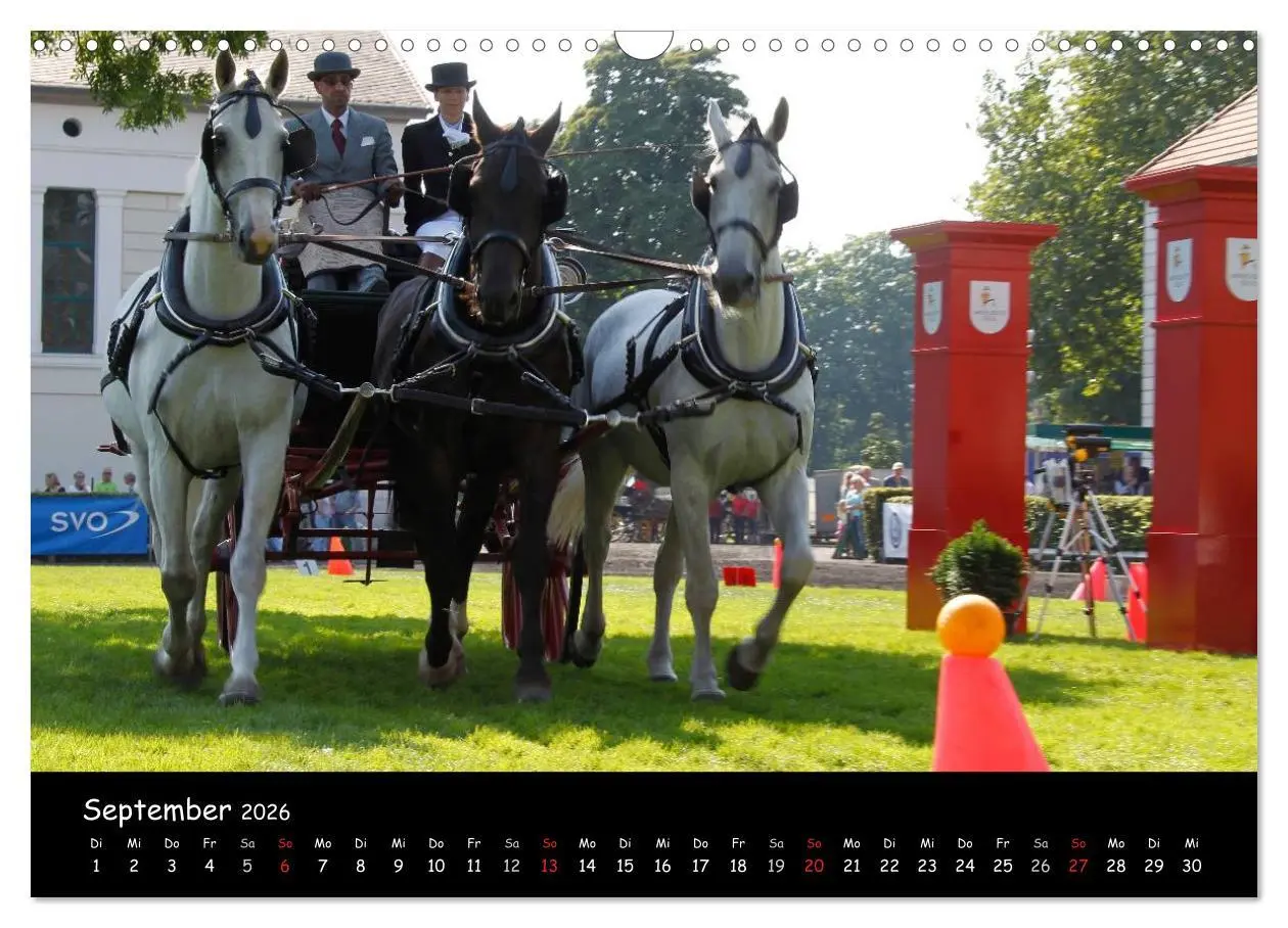Bild: 9783516013900 | CIAT - Historischer Fahrsport in Celle (Wandkalender 2026 DIN A3...