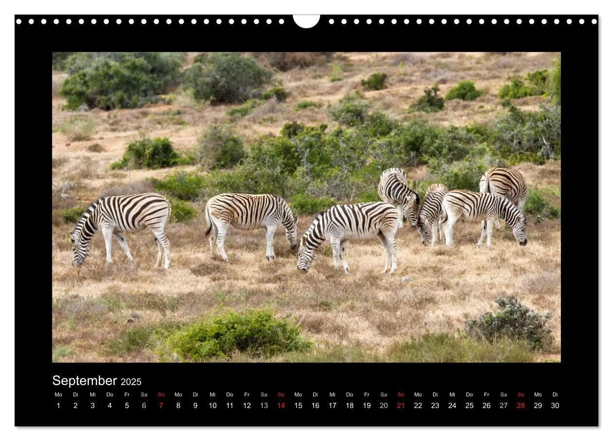 Bild: 9783435714100 | Südafrika - Garden Route (Wandkalender 2025 DIN A3 quer), CALVENDO...