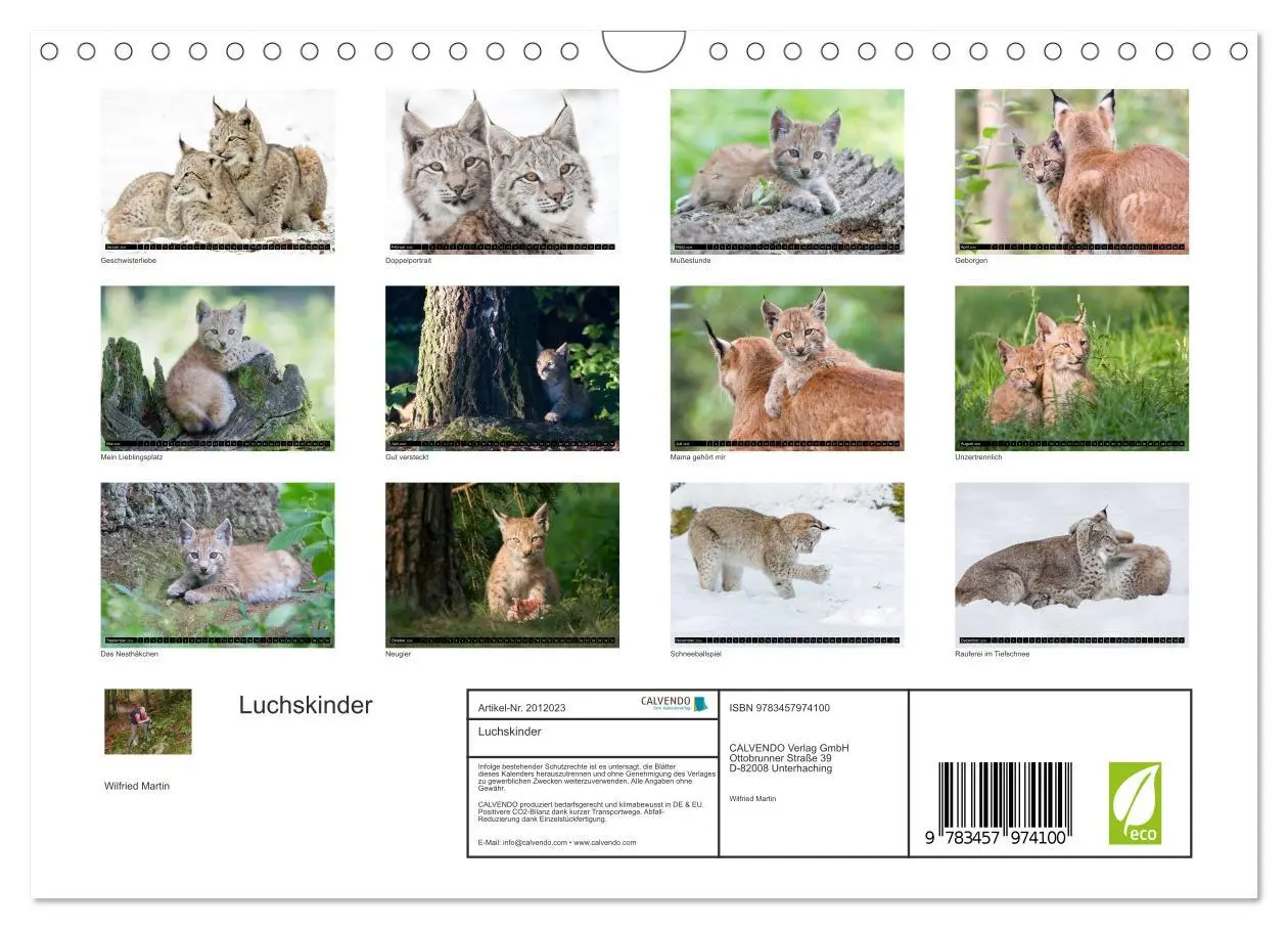 Bild: 9783457974100 | Luchskinder (Wandkalender 2026 DIN A4 quer), CALVENDO Monatskalender