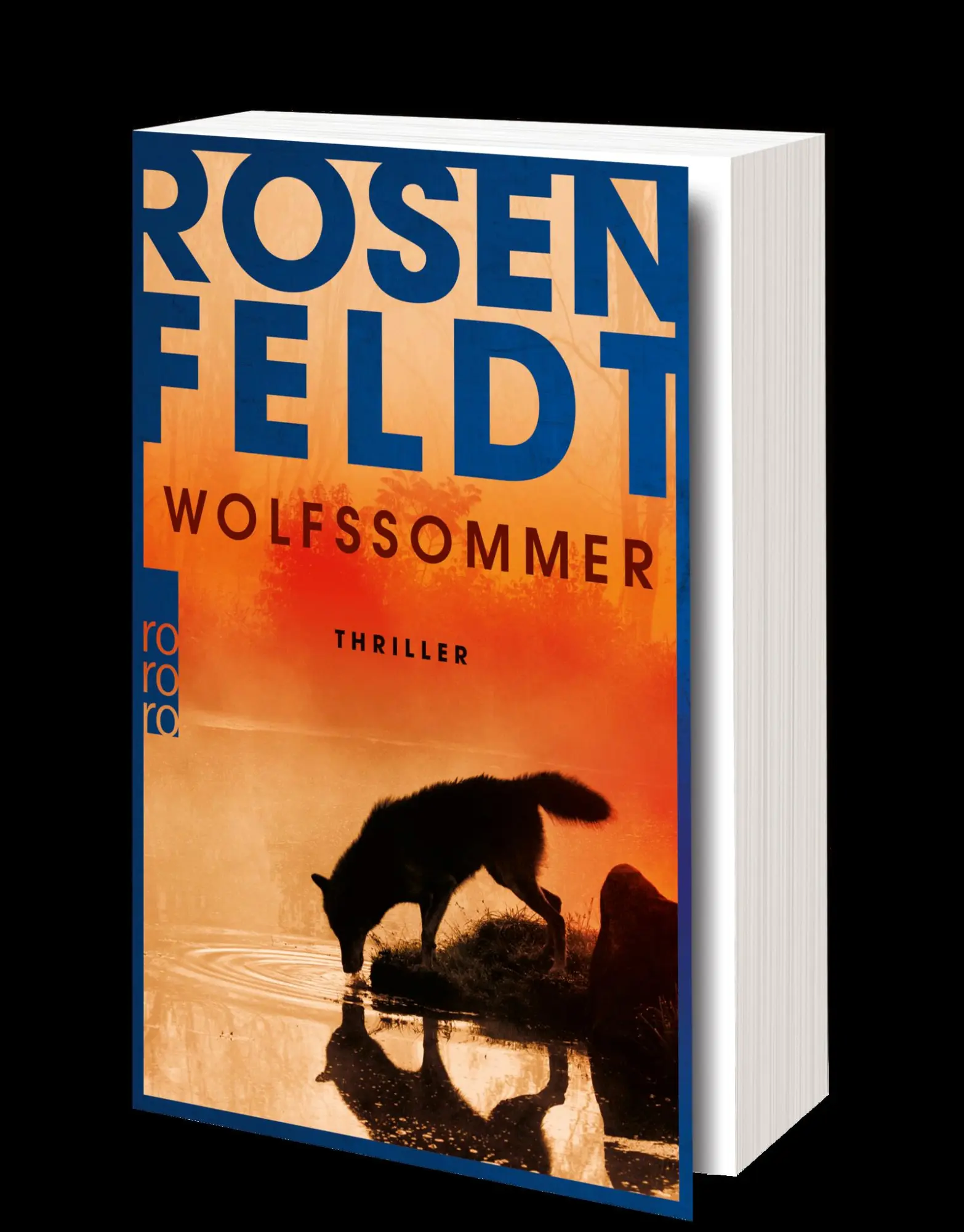 Bild: 9783499004100 | Wolfssommer | Hans Rosenfeldt | Taschenbuch | 480 S. | Deutsch | 2021