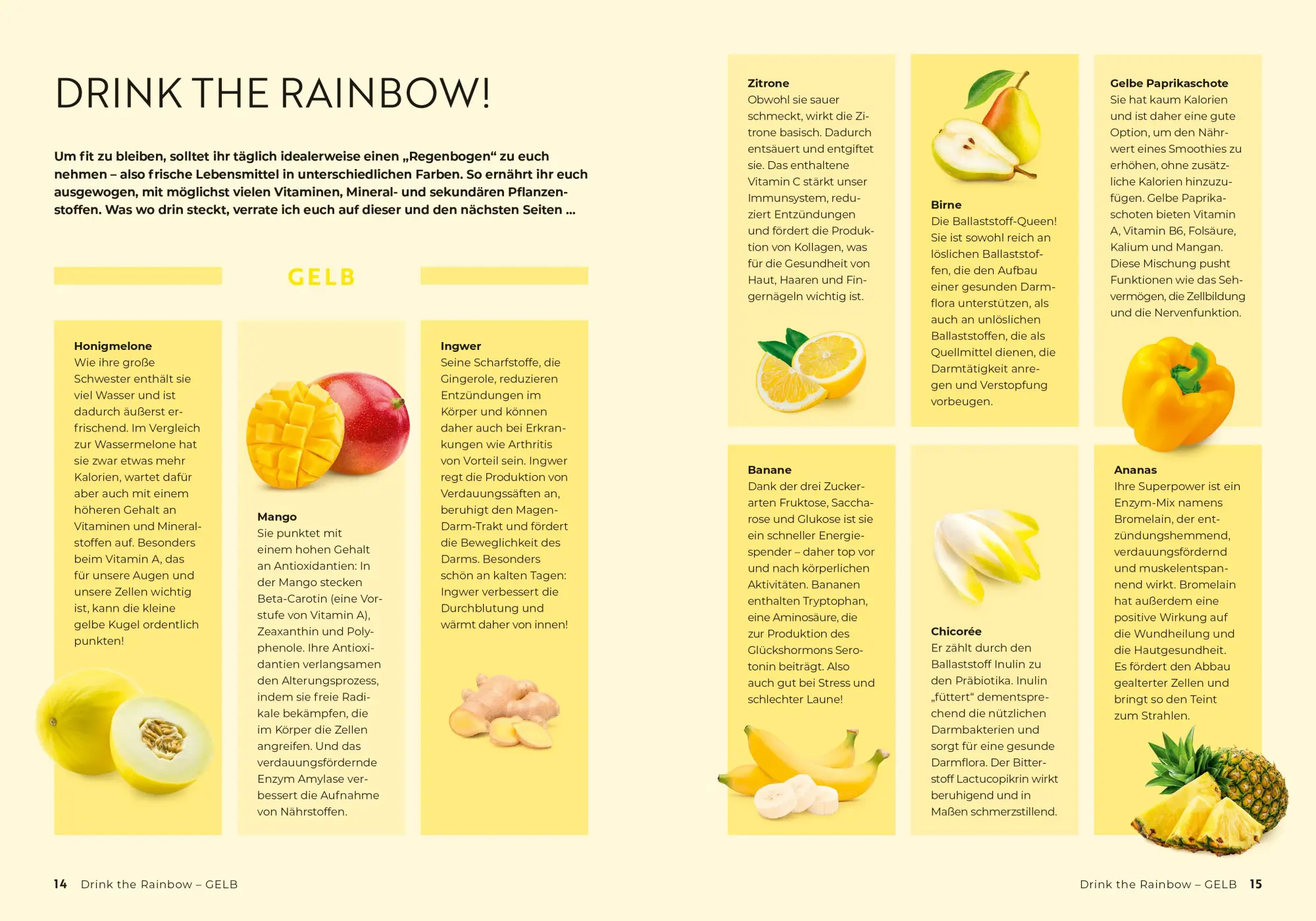 Bild: 9783965844100 | Drink the Rainbow | Monica Meier-Ivancan | Taschenbuch | 160 S. | 2024