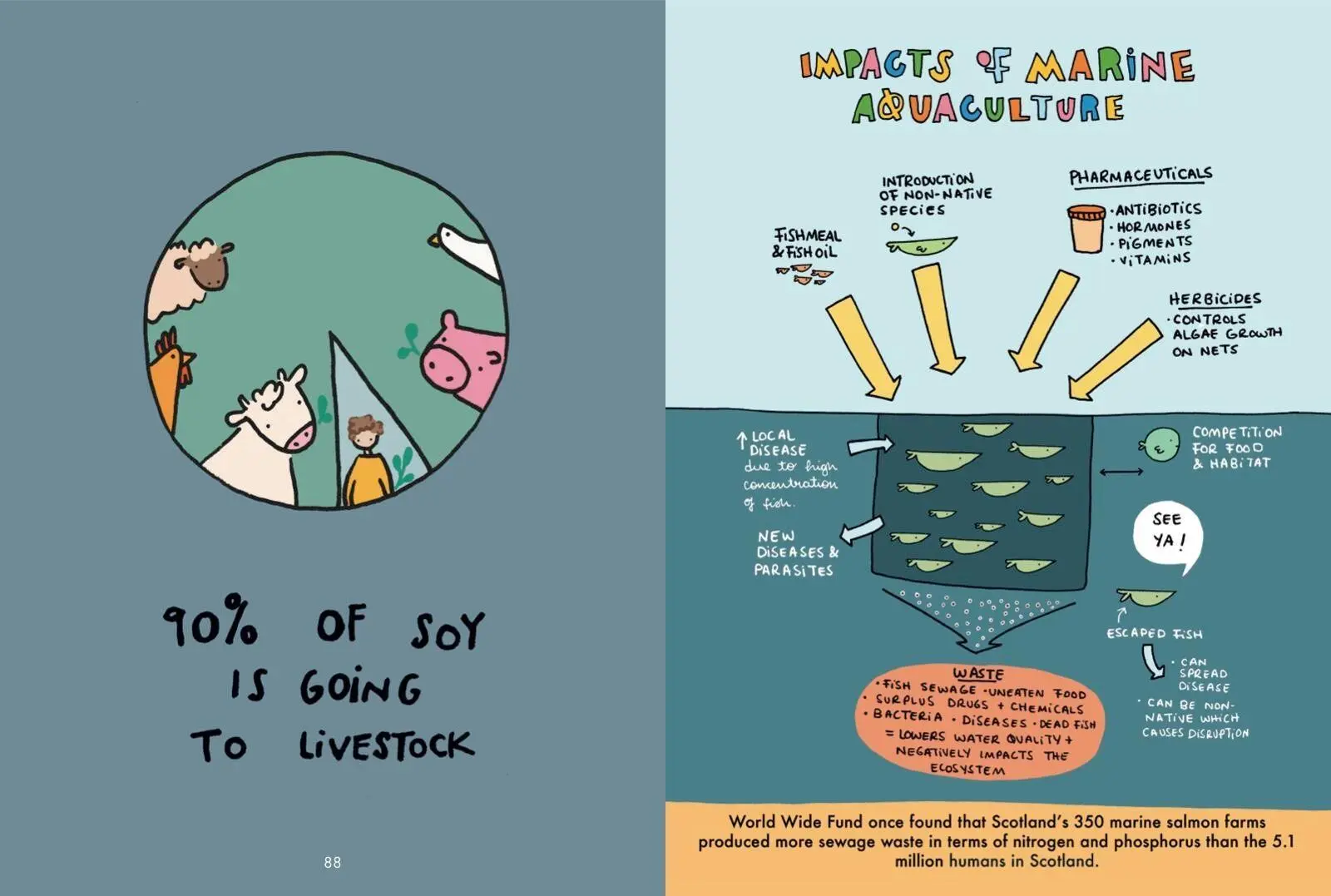 Bild: 9781912634200 | The Essential Vegan Toolkit | Sara Botero | Taschenbuch | Englisch