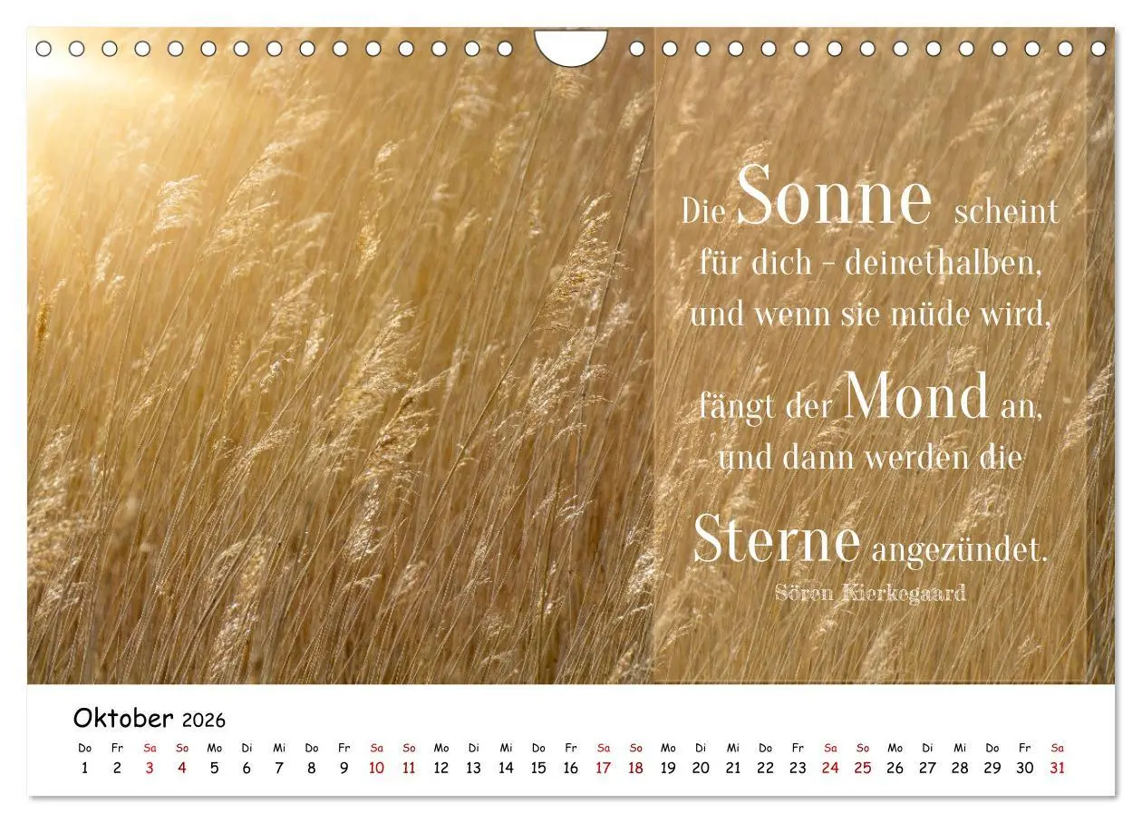 Bild: 9783457344200 | Lebensweisheiten, motivierende Sprüche und kluge Zitate mit Bildern...