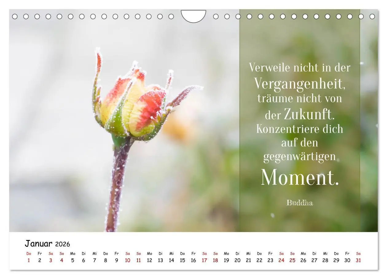 Bild: 9783457344200 | Lebensweisheiten, motivierende Sprüche und kluge Zitate mit Bildern...