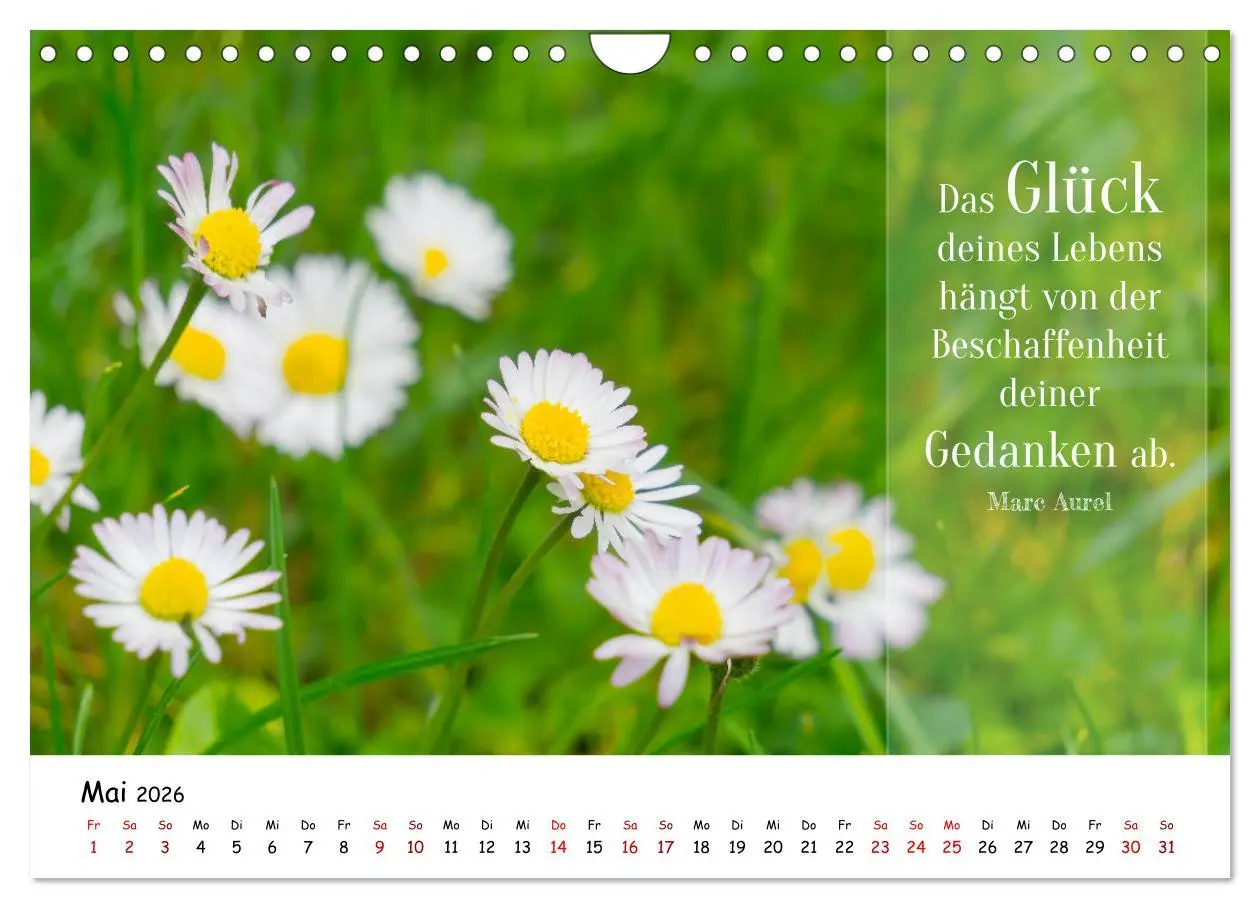 Bild: 9783457344200 | Lebensweisheiten, motivierende Sprüche und kluge Zitate mit Bildern...