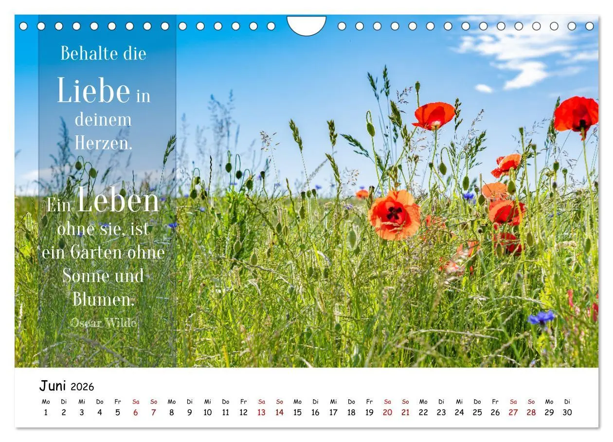 Bild: 9783457344200 | Lebensweisheiten, motivierende Sprüche und kluge Zitate mit Bildern...