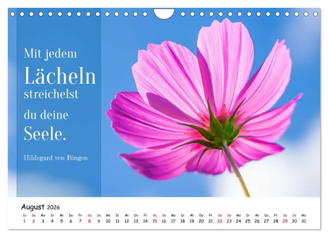 Bild: 9783457344200 | Lebensweisheiten, motivierende Sprüche und kluge Zitate mit Bildern...